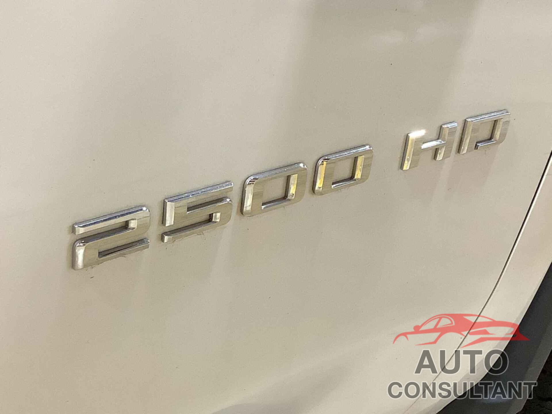 CHEVROLET SILVERADO 2020 - 1GC2YLE79LF265820