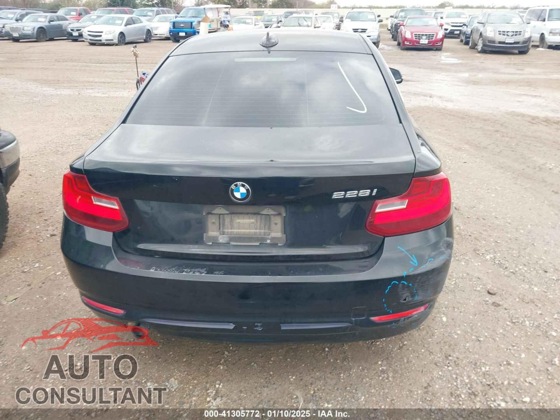 BMW 228I 2016 - WBA1F9C55GV742032