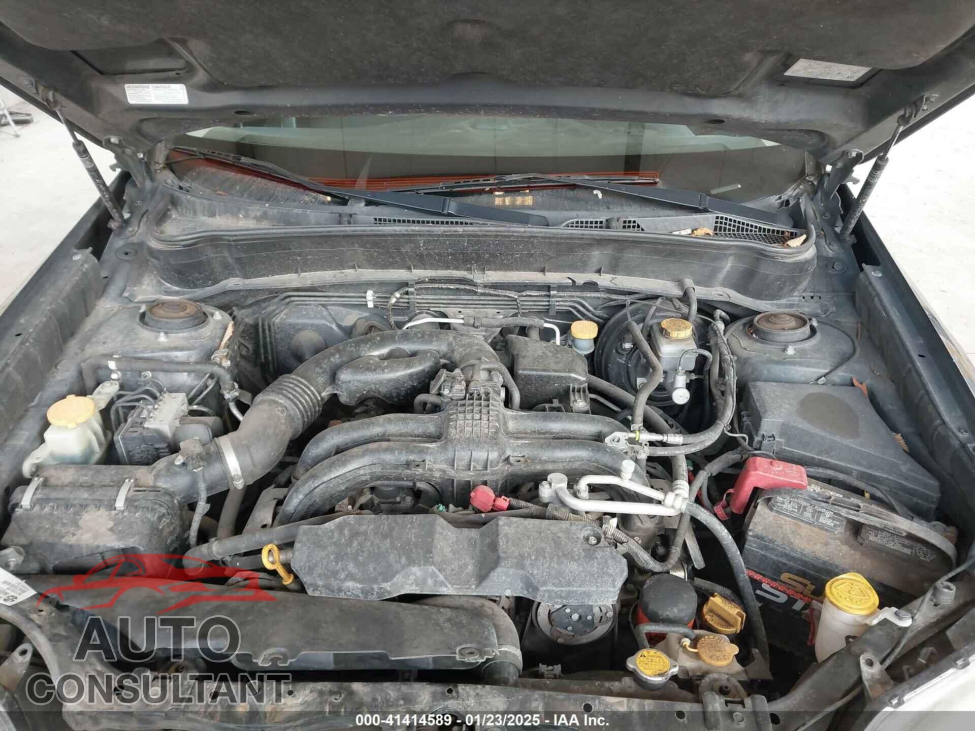 SUBARU FORESTER 2011 - JF2SHAAC1BG703733