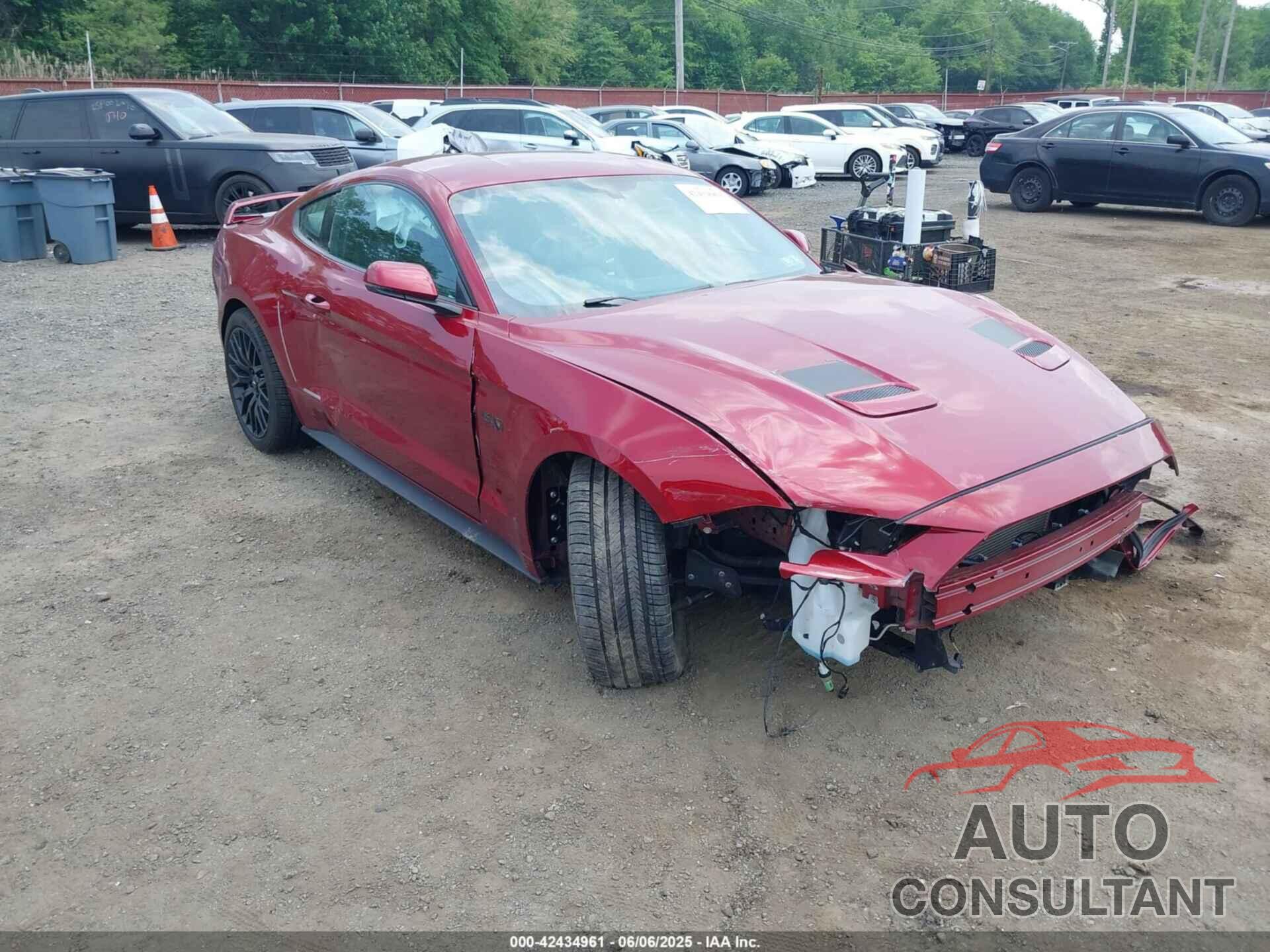FORD MUSTANG 2019 - 1FA6P8CF1K5165958