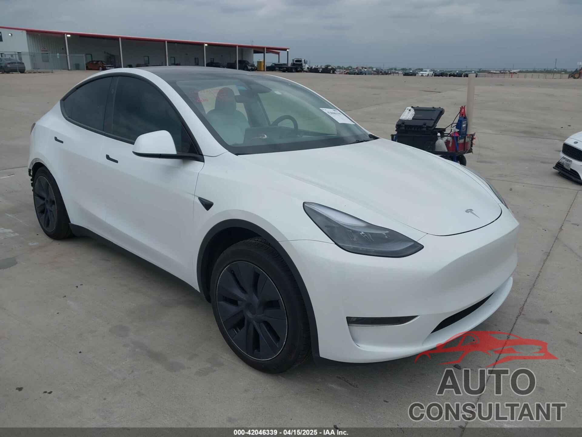 TESLA MODEL Y 2024 - 7SAYGAEE0RF163905