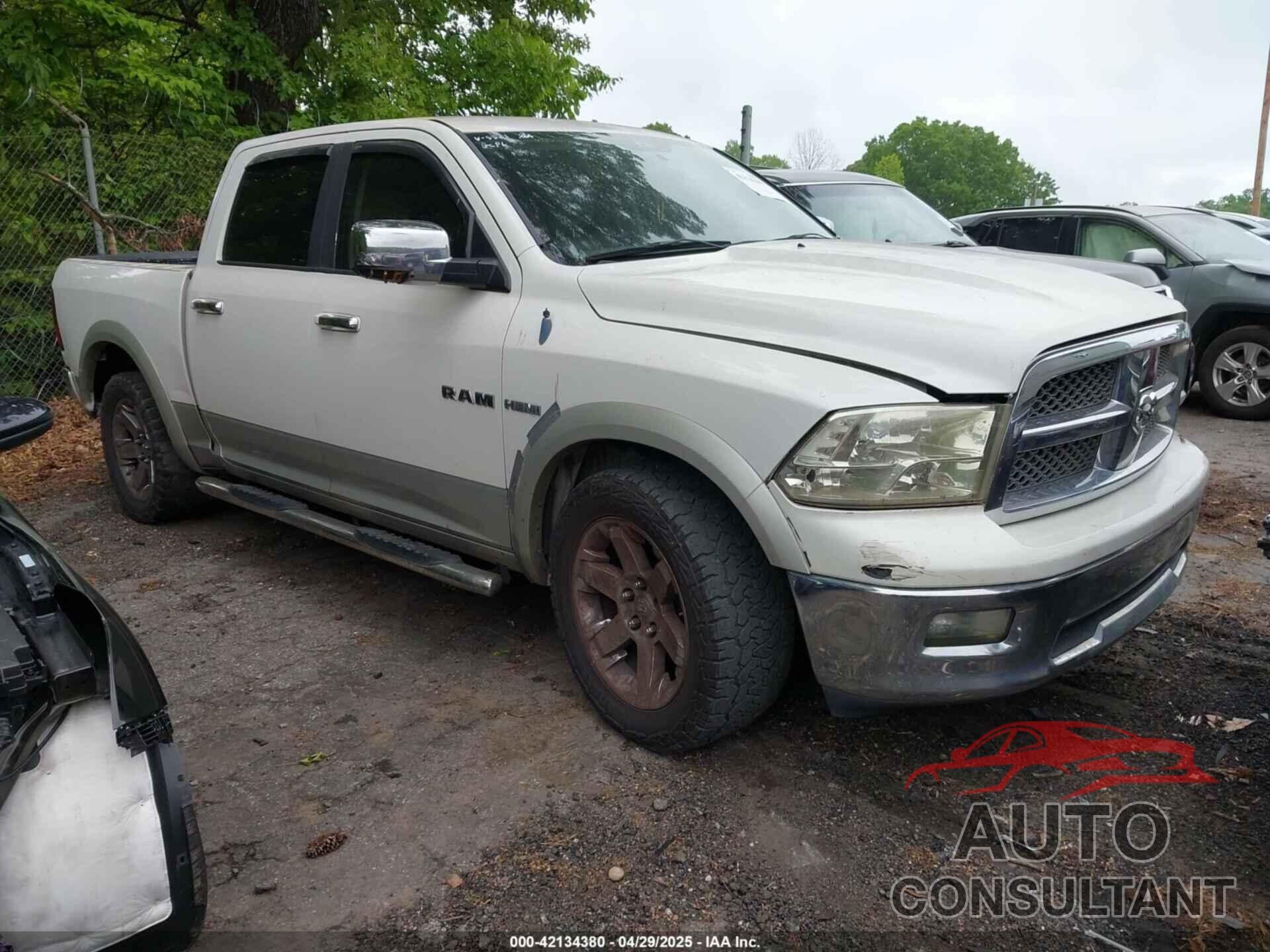 DODGE RAM 1500 2009 - 1D3HB13T19S815521