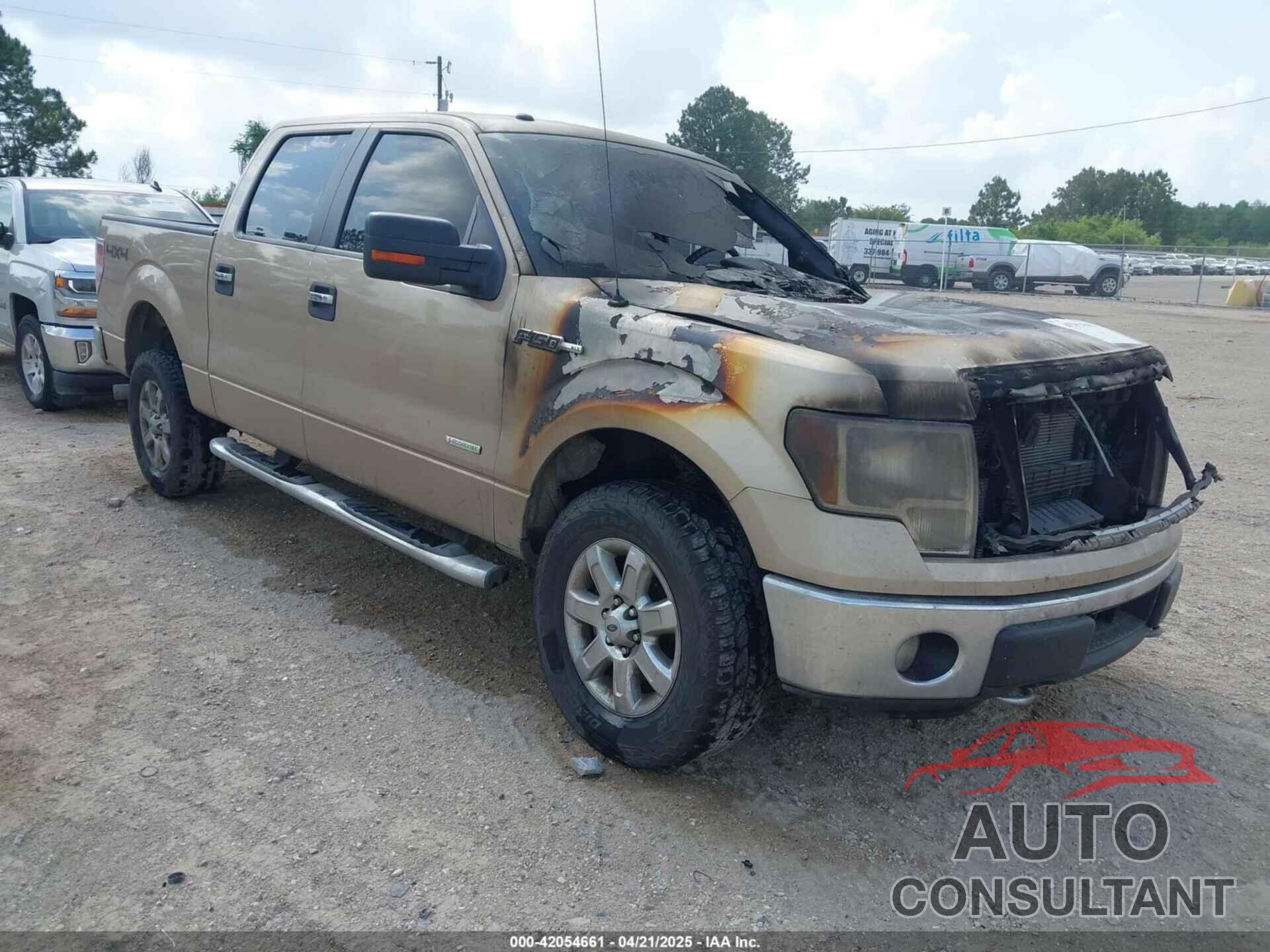FORD F-150 2014 - 1FTFW1ET8EKF16135