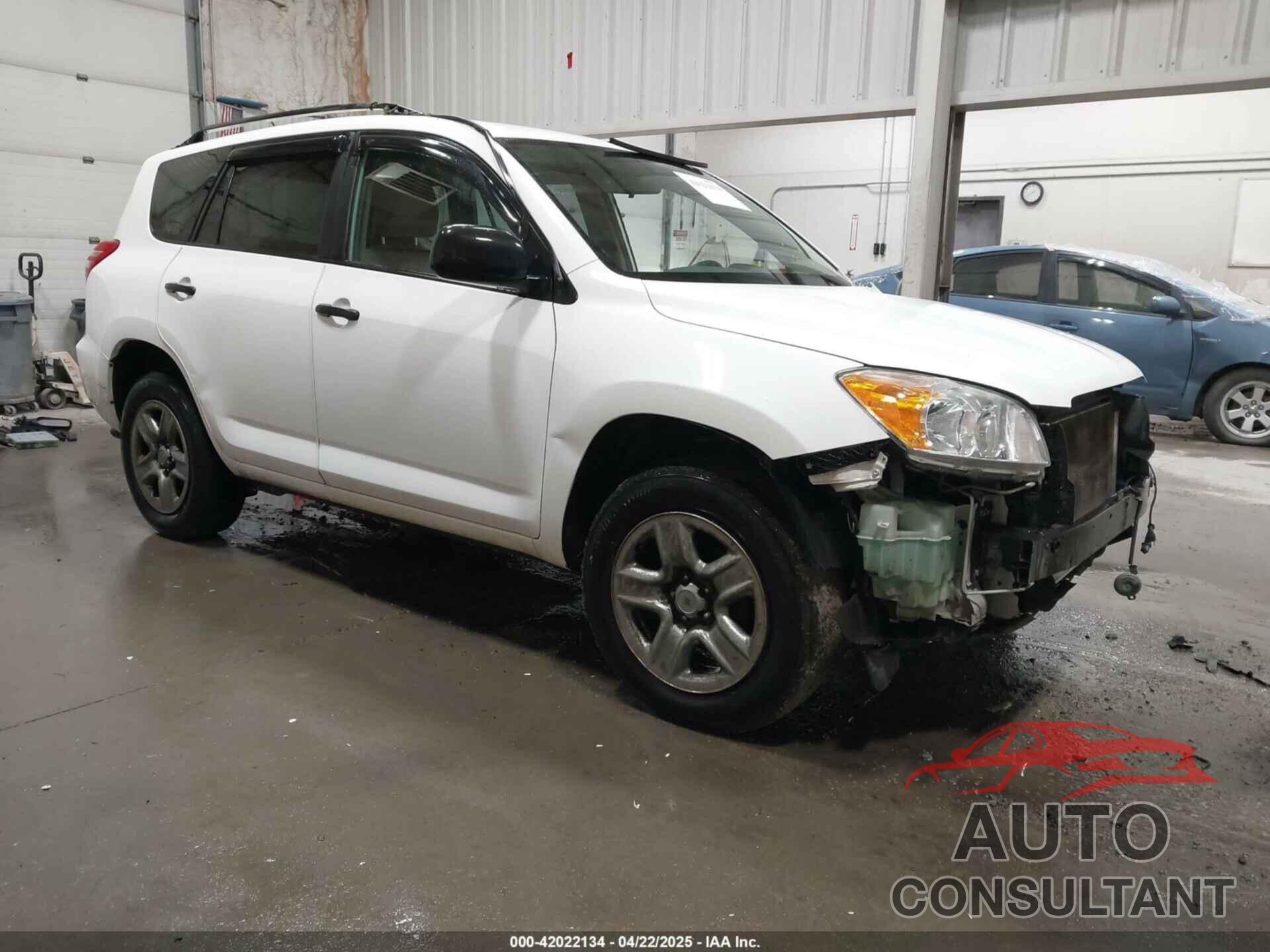 TOYOTA RAV4 2011 - 2T3BF4DV4BW172583