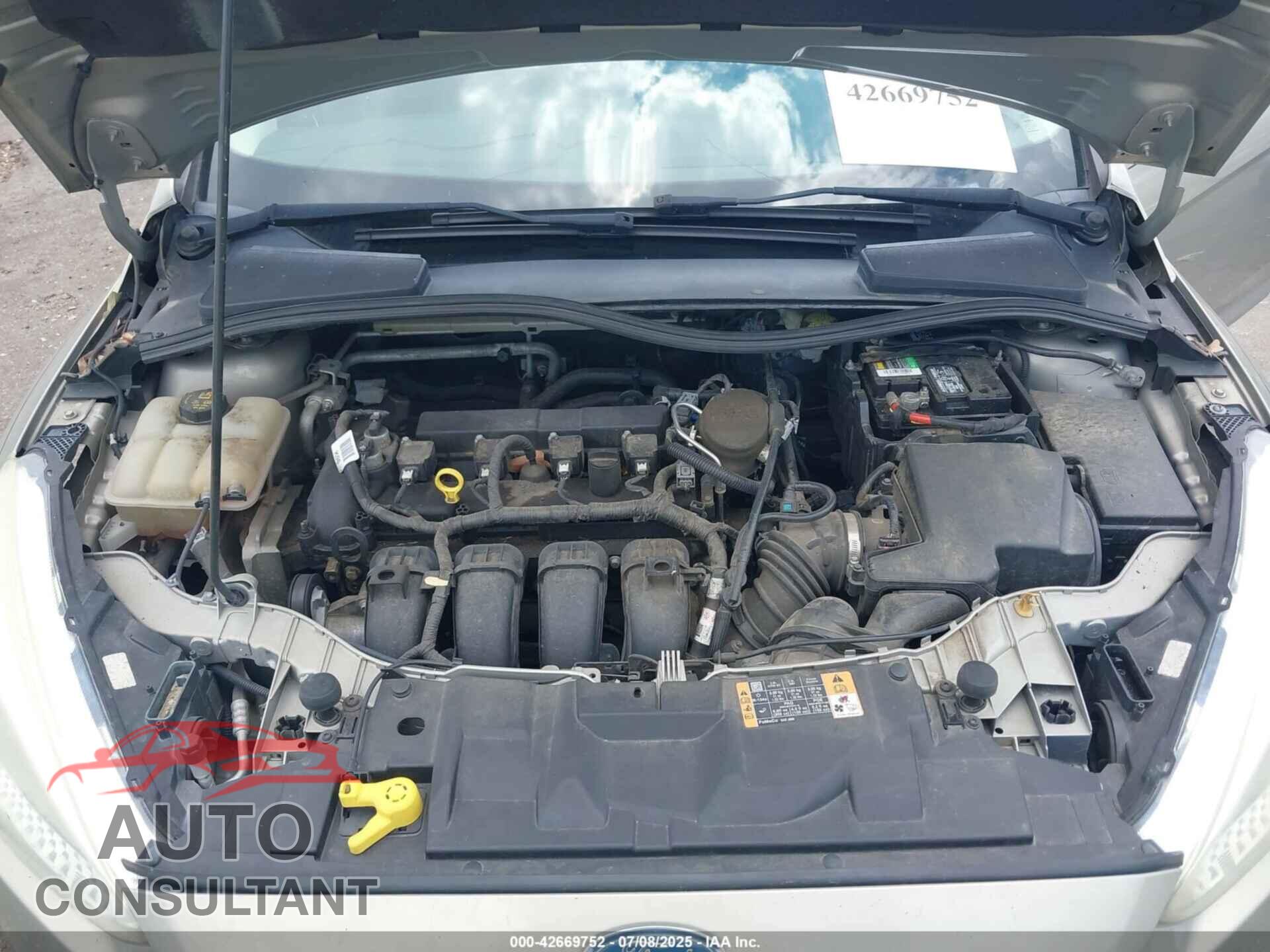 FORD FOCUS 2016 - 1FADP3F25GL262568