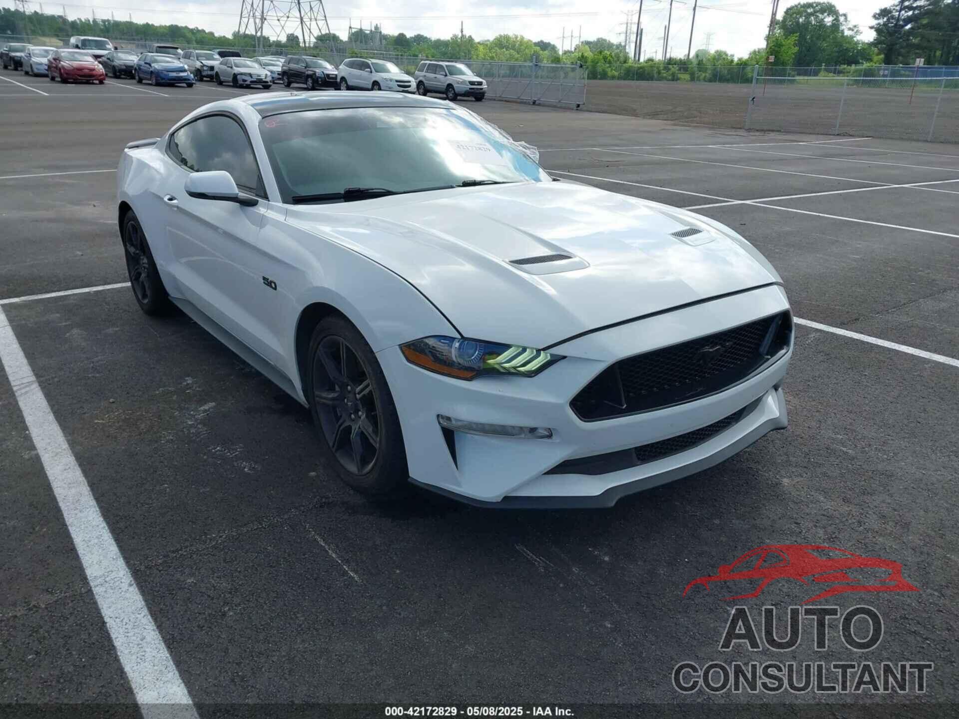 FORD MUSTANG 2019 - 1FA6P8CF6K5173649