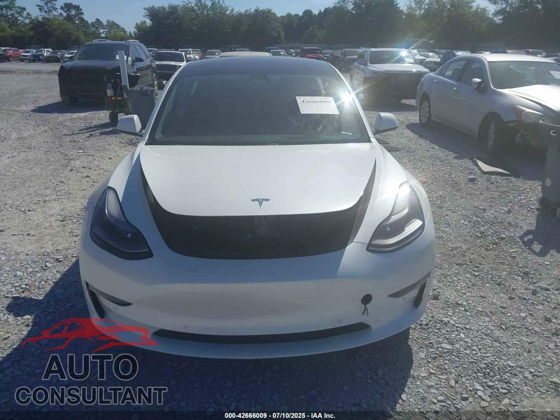 TESLA MODEL 3 2021 - 5YJ3E1EA6MF015972