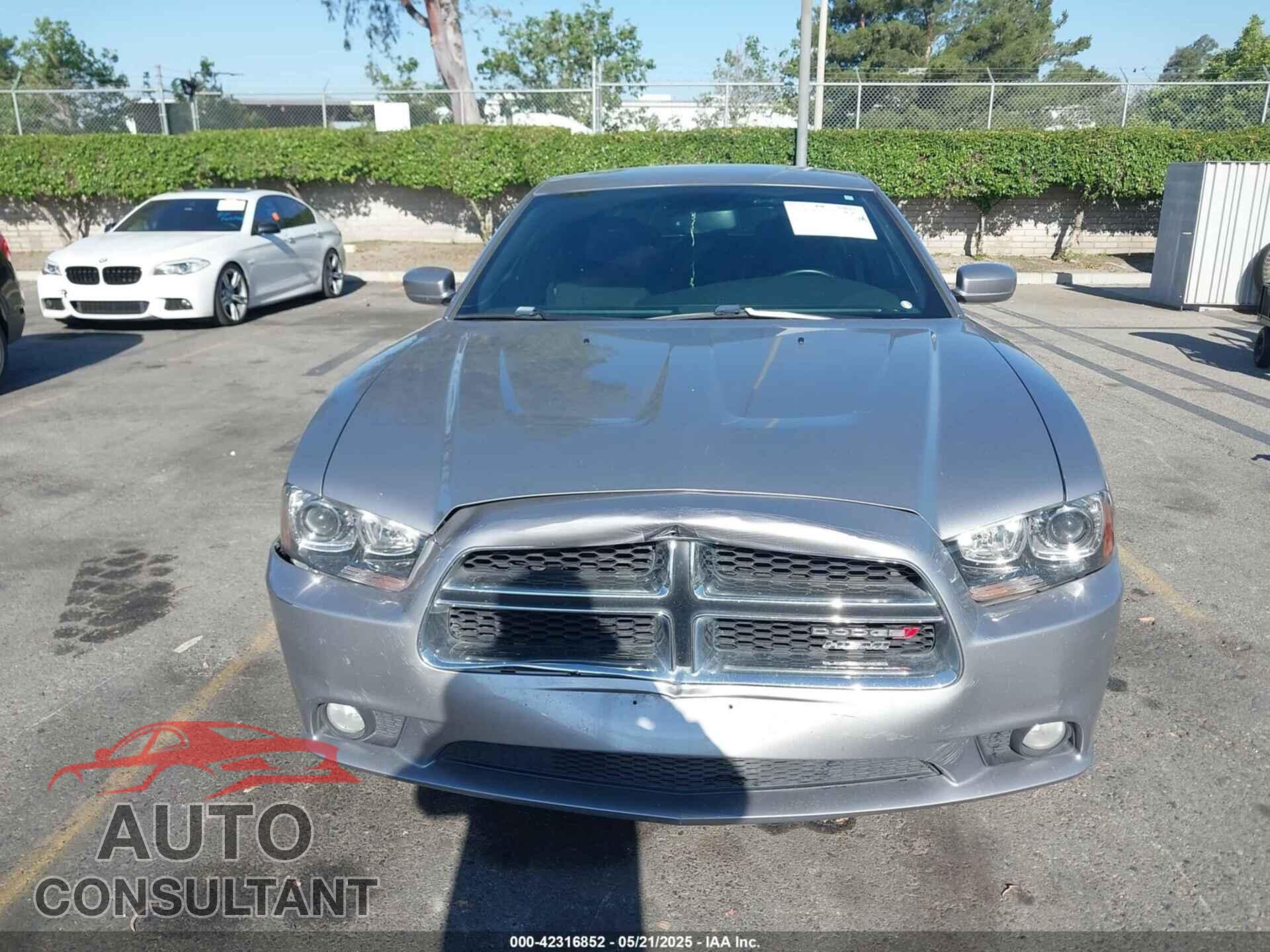 DODGE CHARGER 2014 - 2C3CDXCT3EH137635