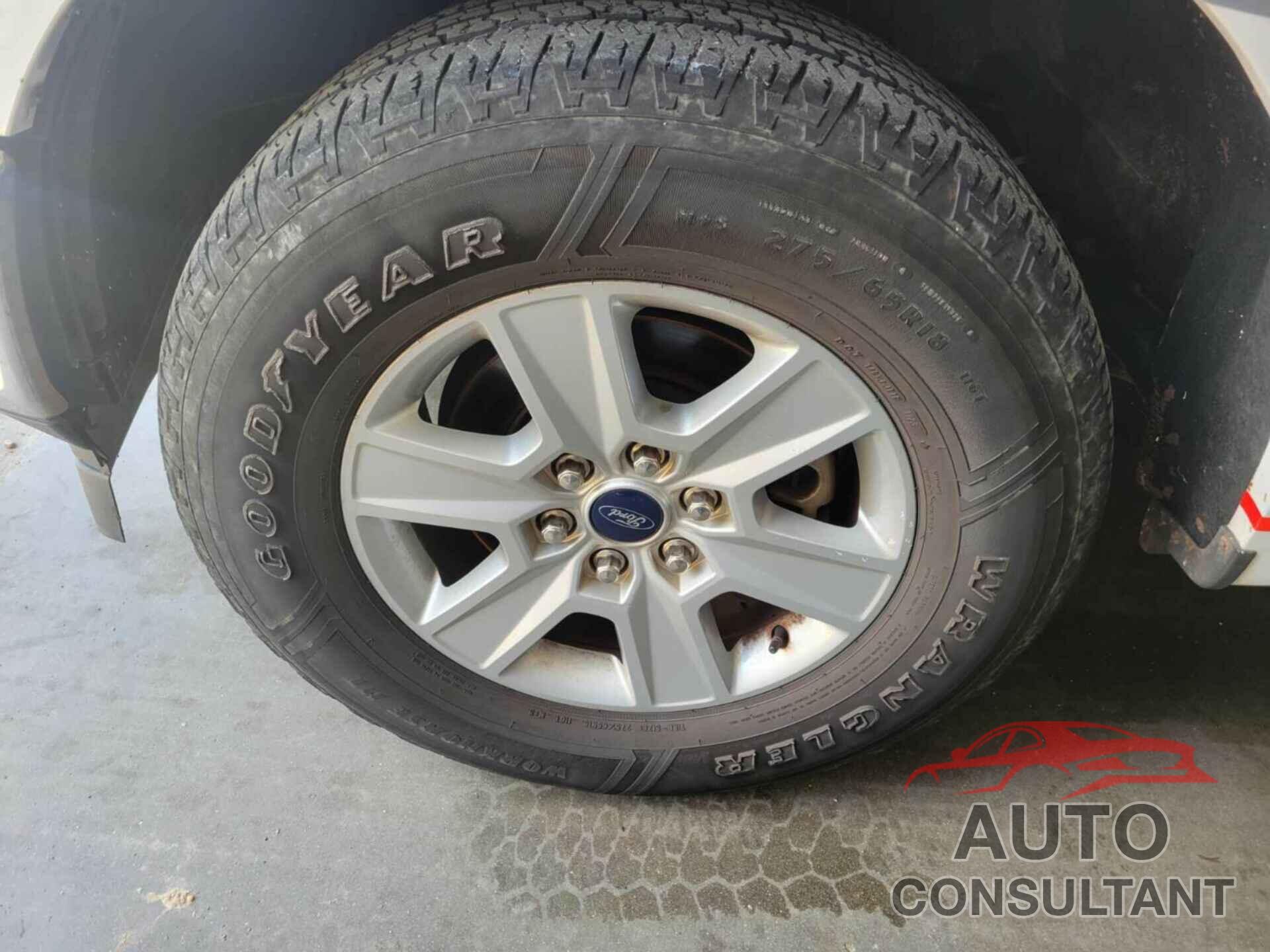FORD F150 2019 - 1FTFX1C4XKKC43526