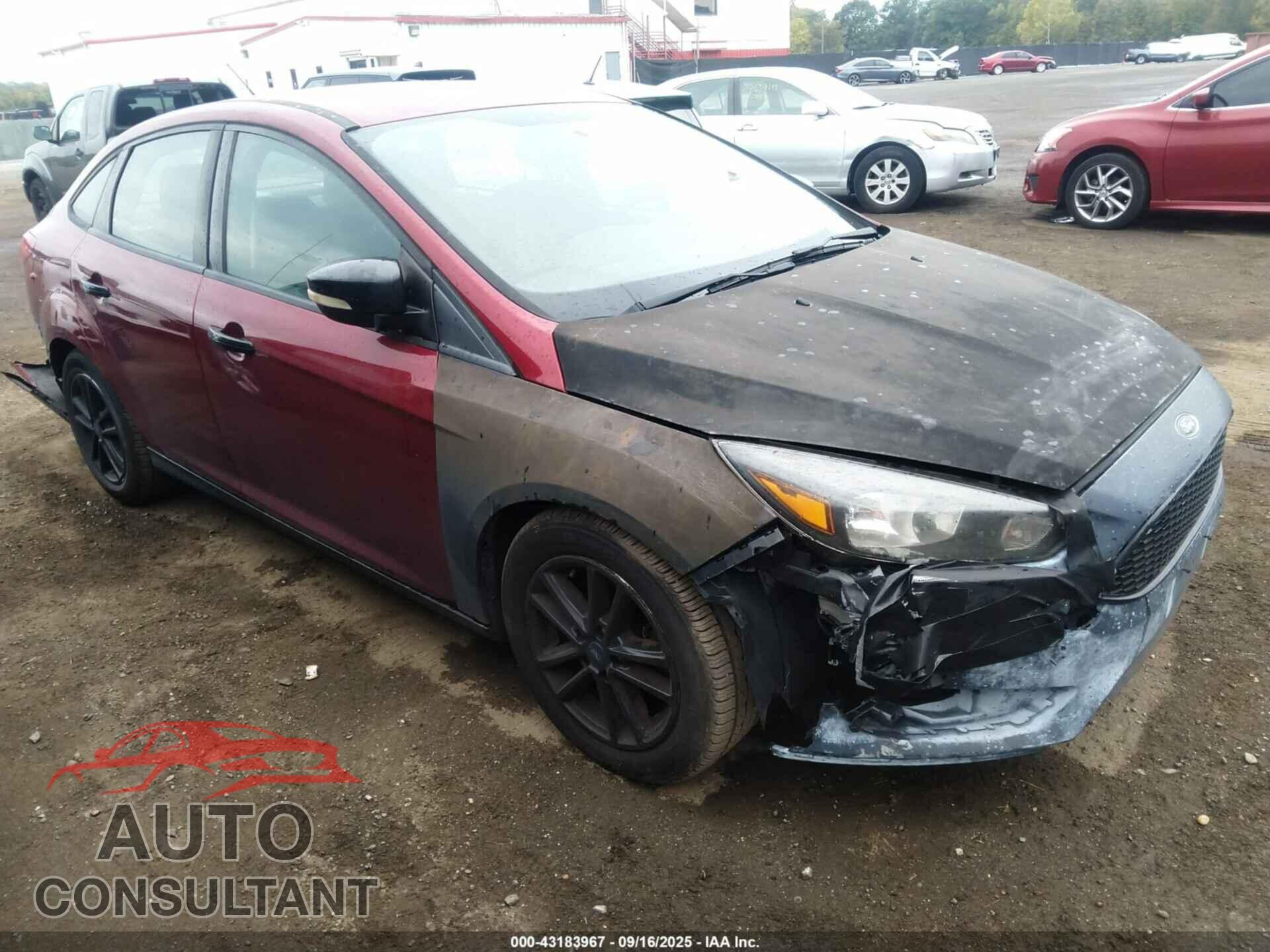 FORD FOCUS 2017 - 1FADP3F26HL281132