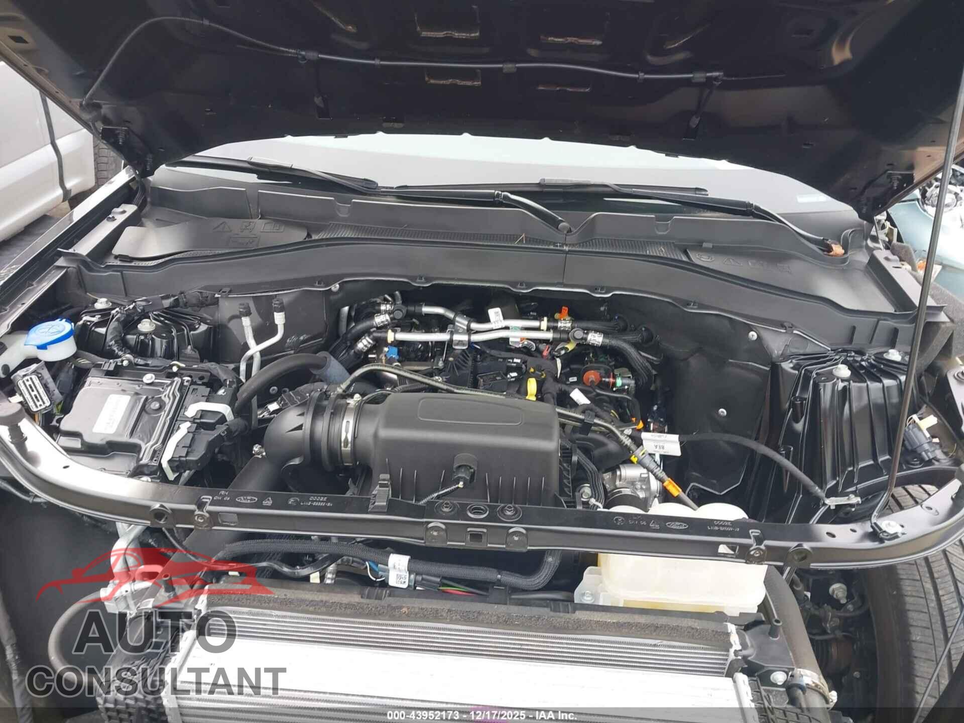 FORD EXPLORER 2023 - 1FMSK8DH9PGB95367