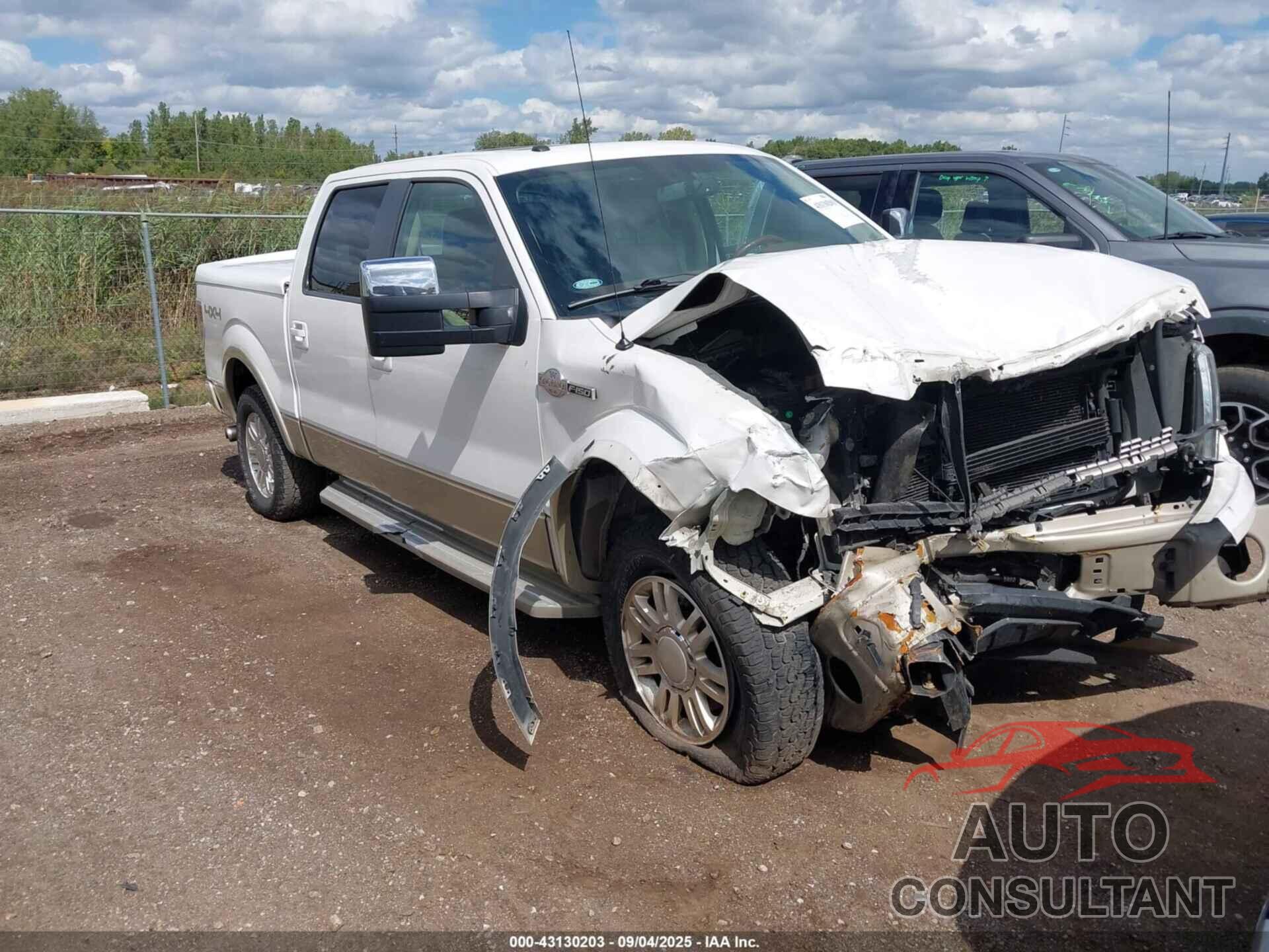 FORD F-150 2010 - 1FTFW1EV0AKE31141
