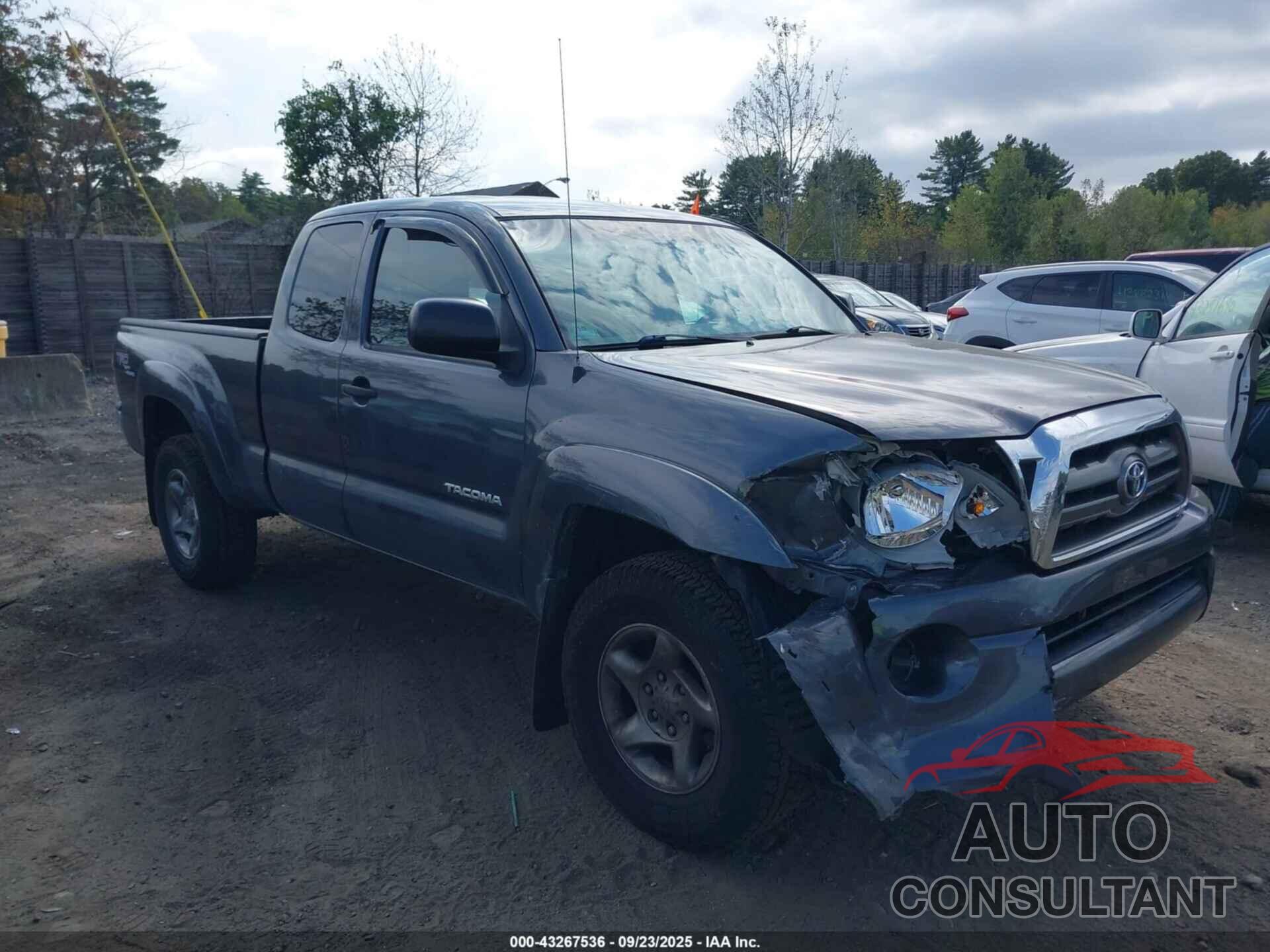 TOYOTA TACOMA 2010 - 5TEUU4EN0AZ733264