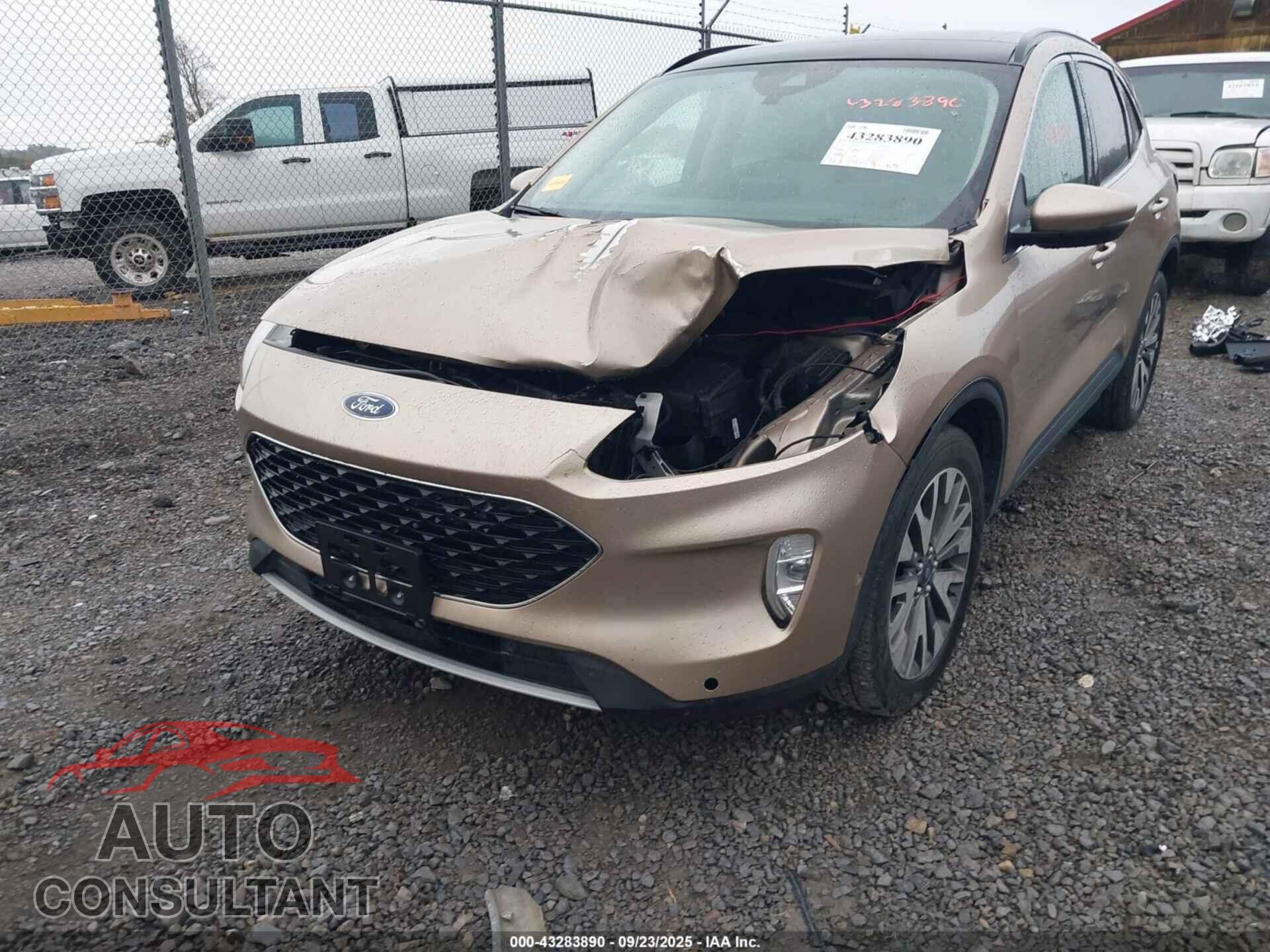 FORD ESCAPE 2020 - 1FMCU9J94LUA59967