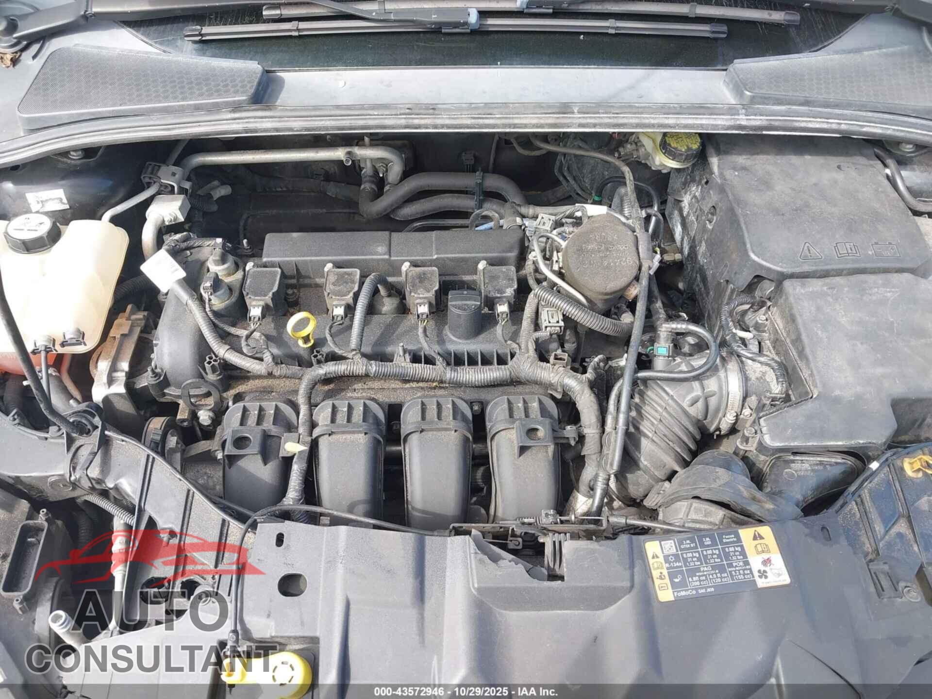 FORD FOCUS 2016 - 1FADP3E20GL395675