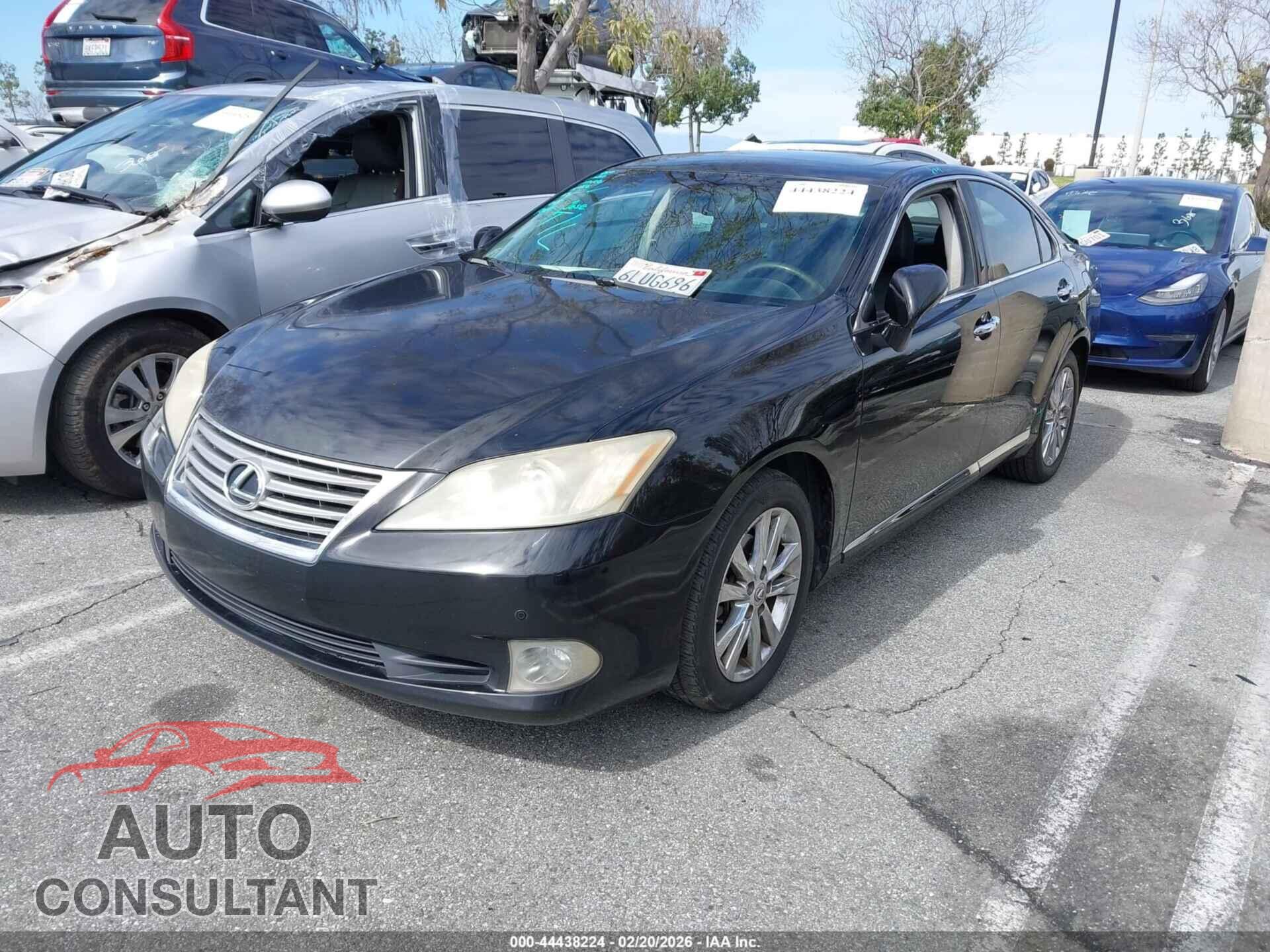 LEXUS ES 350 2010 - JTHBK1EG8A2382068