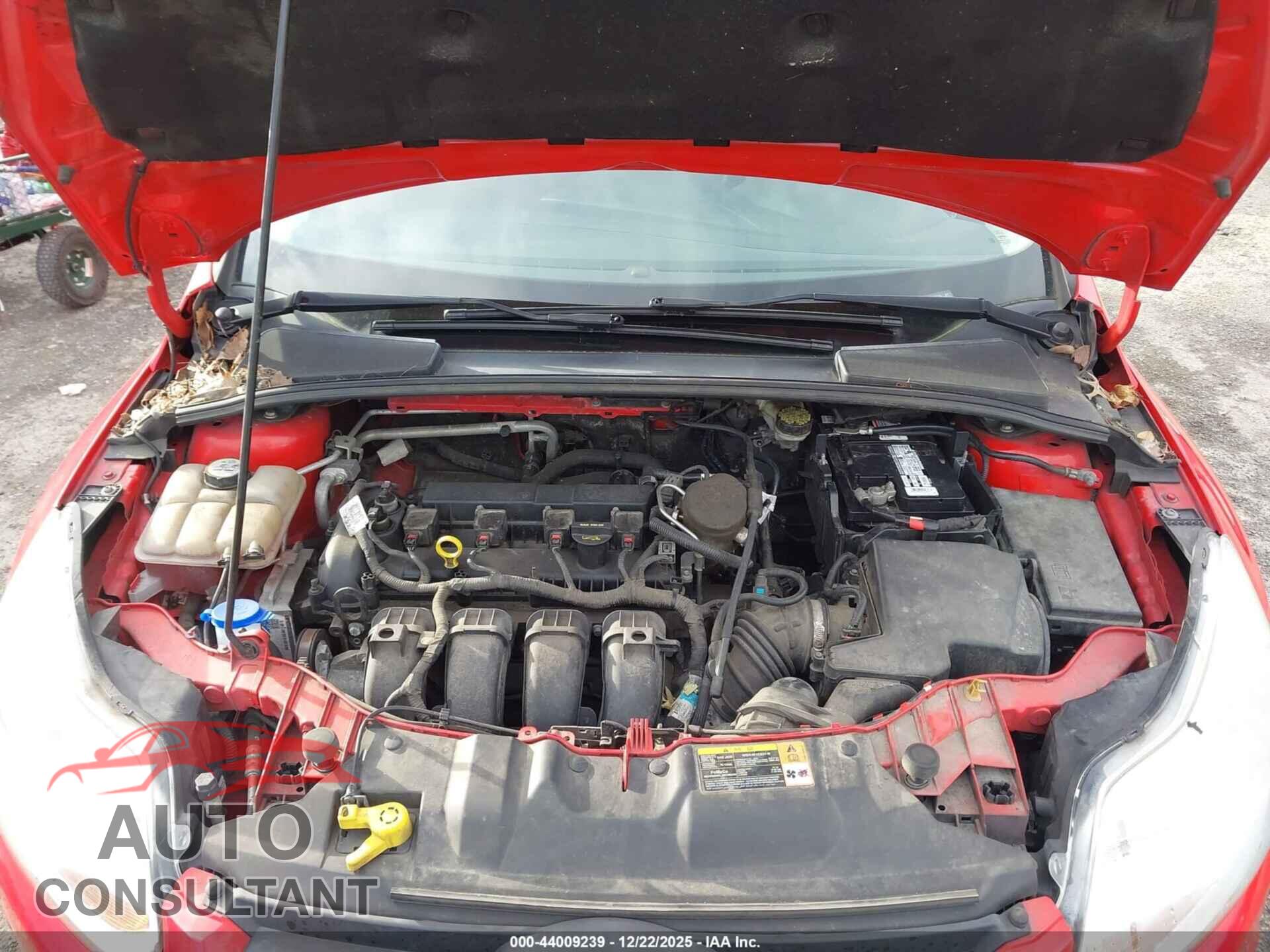 FORD FOCUS 2013 - 1FADP3F26DL217778