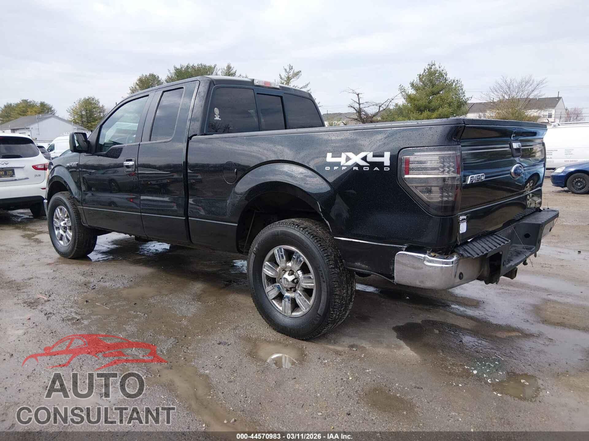 FORD F-150 2011 - 1FTFX1EF6BFA49499