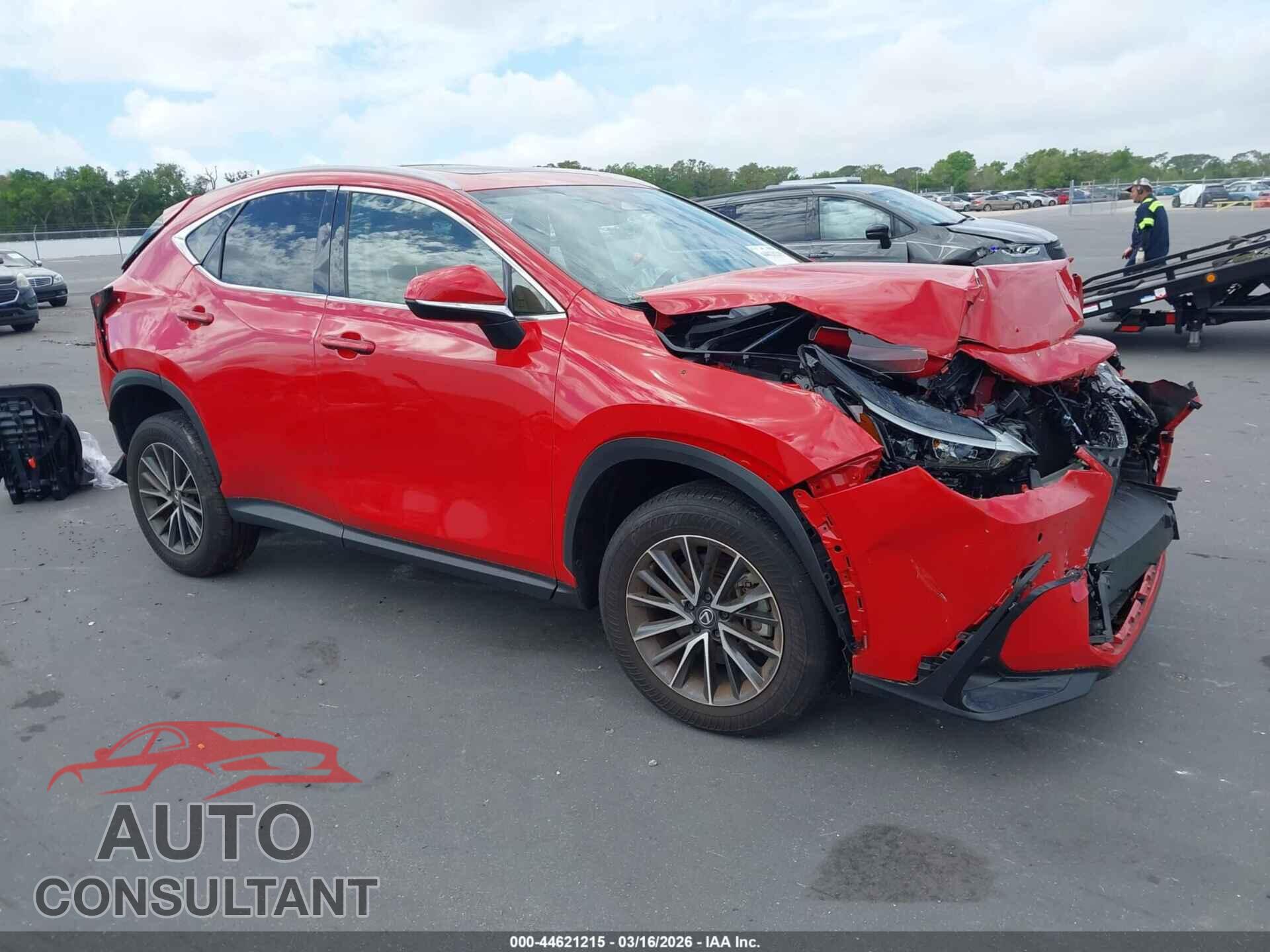 LEXUS NX 350 2025 - 2T2GGCEZ7SC077665