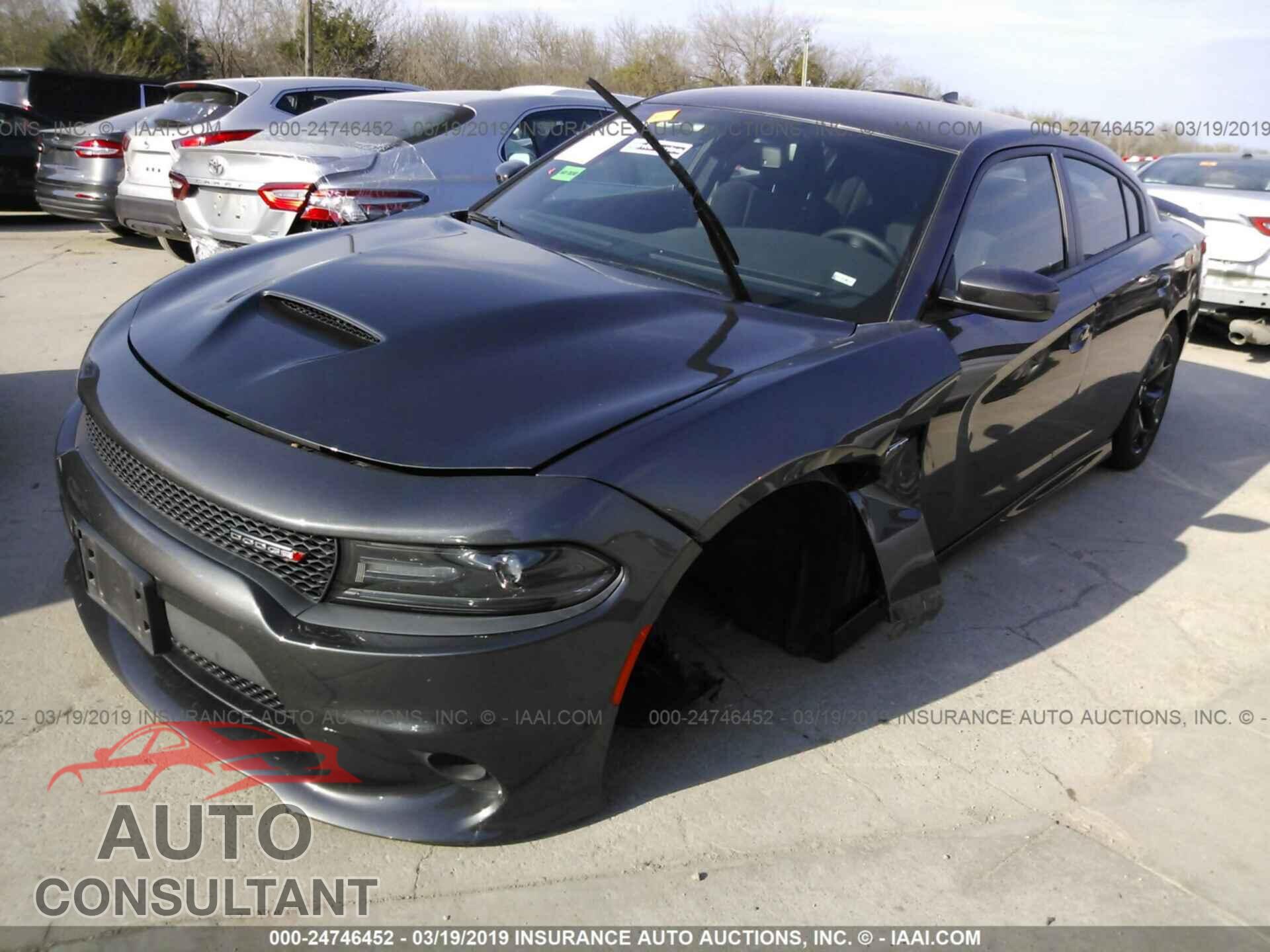 DODGE CHARGER 2019 - 2C3CDXCTXKH526672