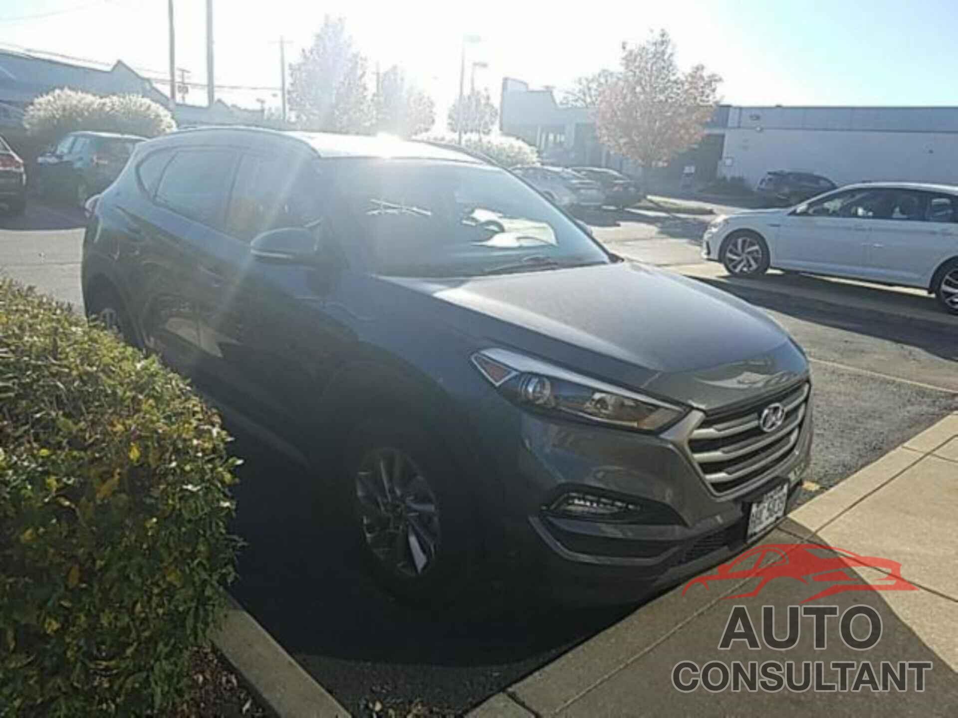 HYUNDAI TUCSON 2017 - KM8J33A44HU547769