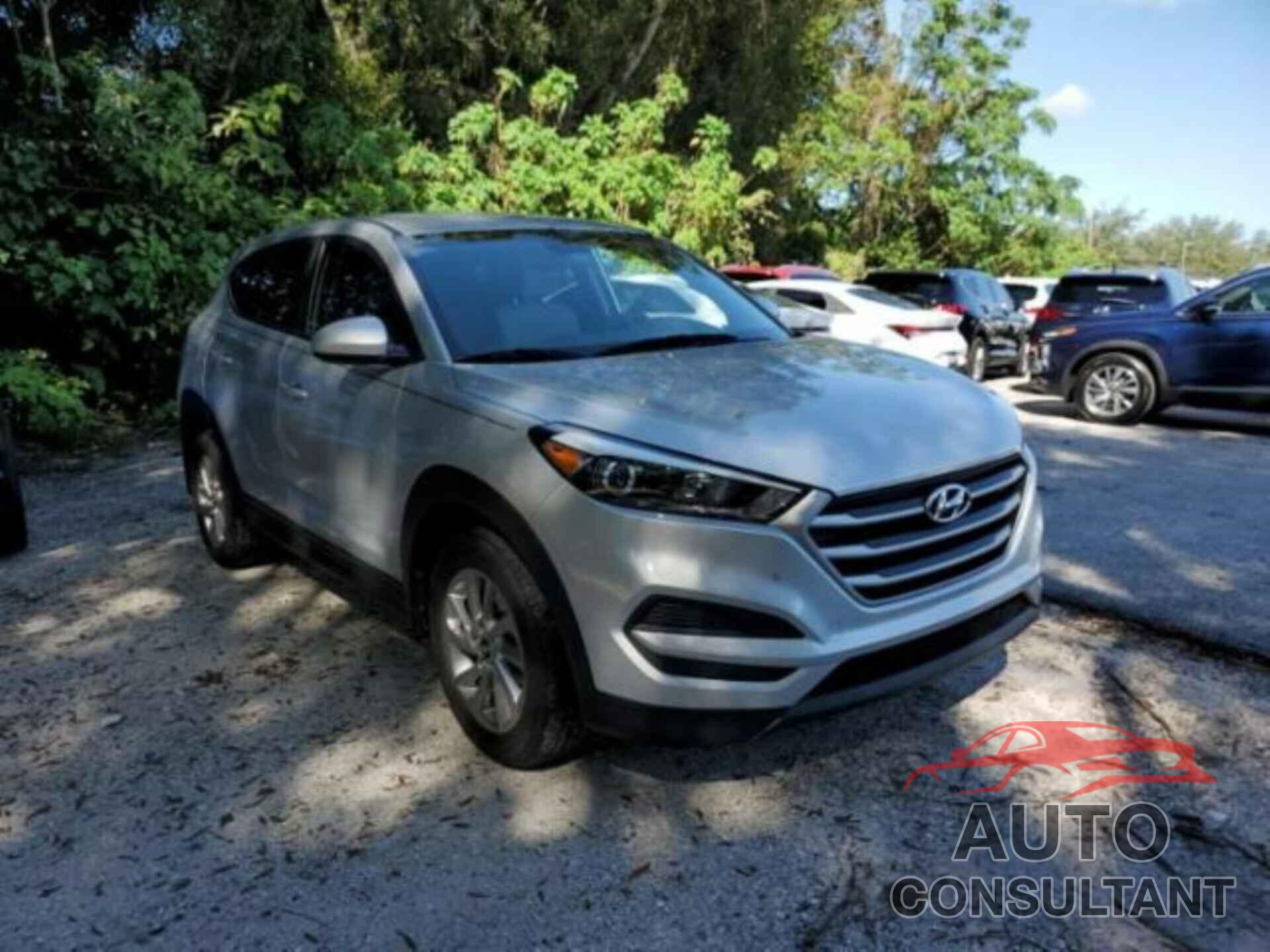 HYUNDAI TUCSON 2017 - KM8J23A41HU534335