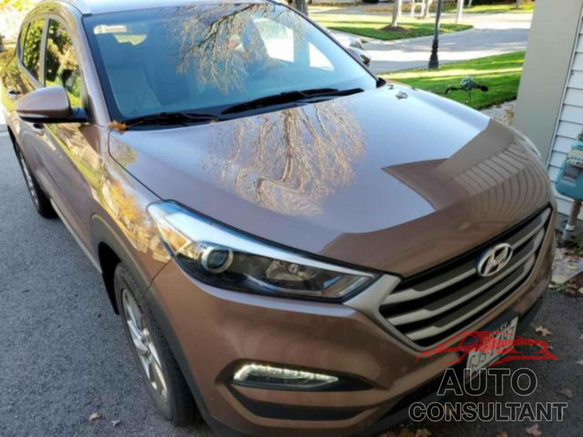 HYUNDAI TUCSON 2017 - KM8J33A46HU532299