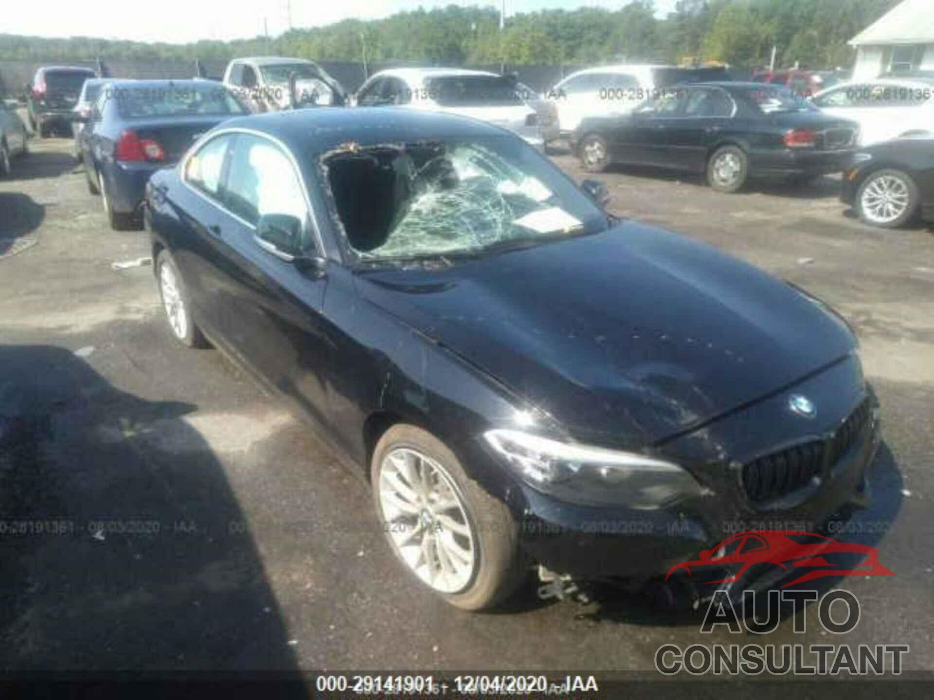 BMW 2 SERIES 2016 - WBA1F9C52GV544704