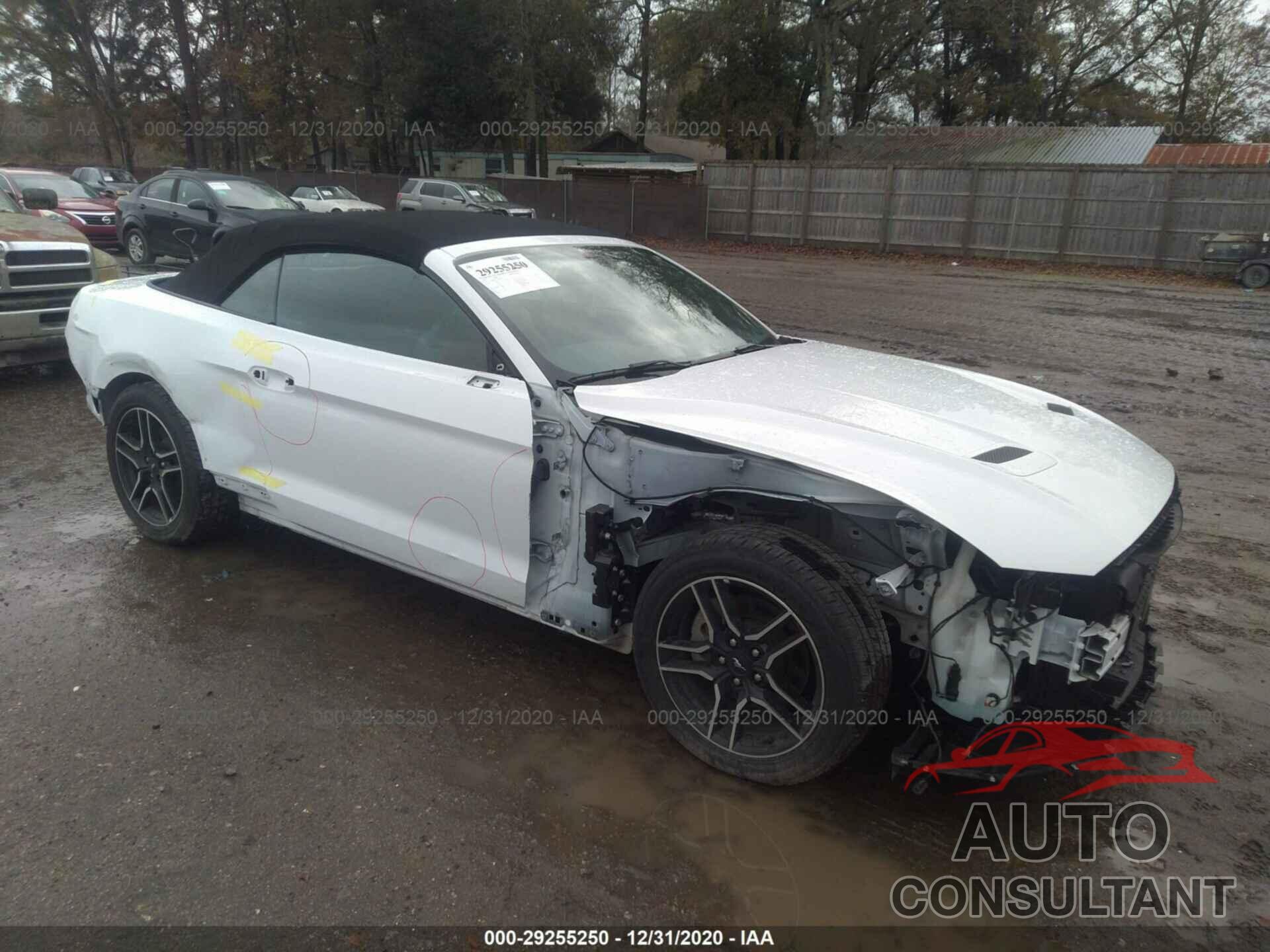 FORD MUSTANG 2019 - 1FATP8UHXK5148787