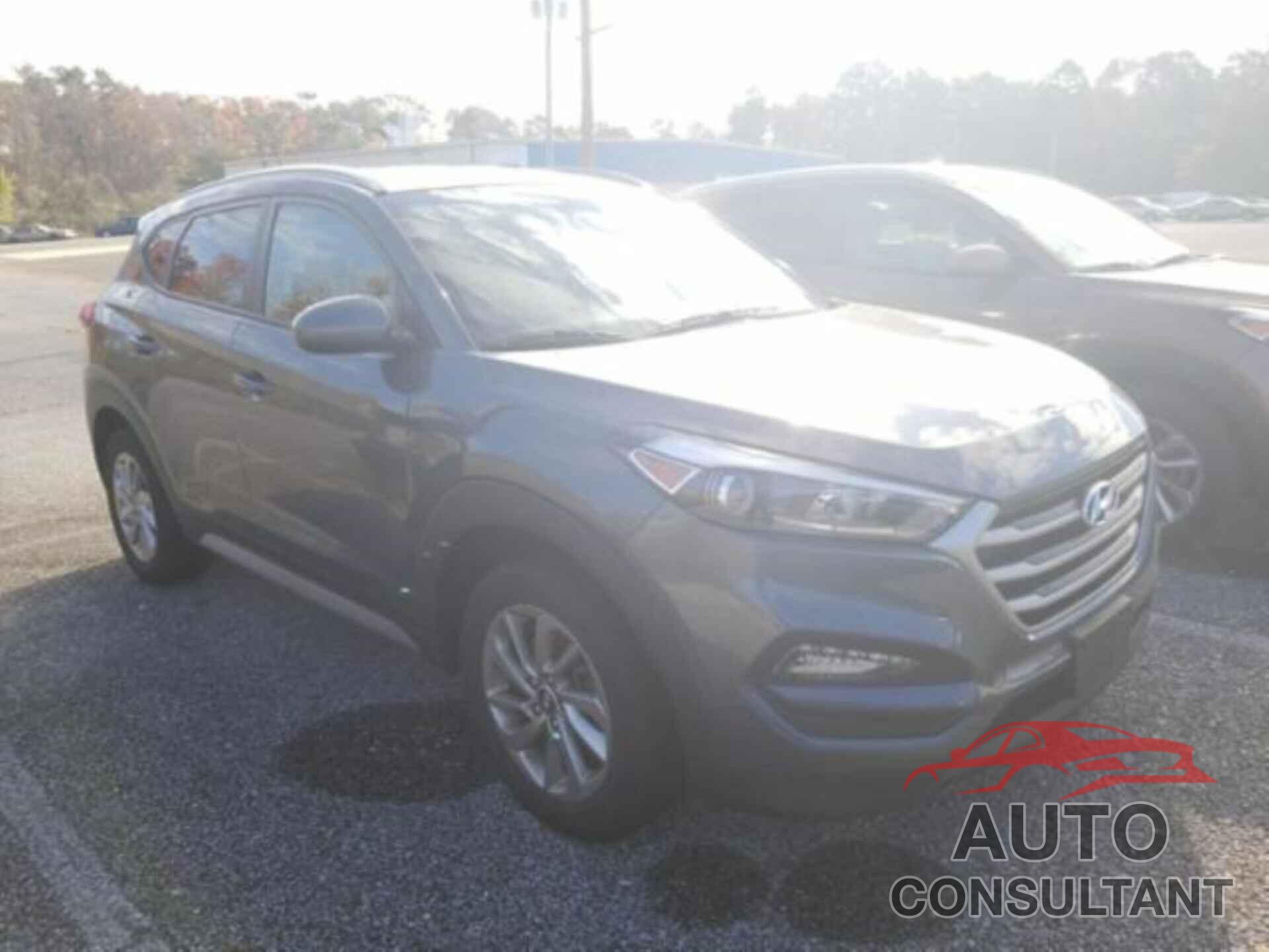 HYUNDAI TUCSON 2017 - KM8J3CA43HU430152