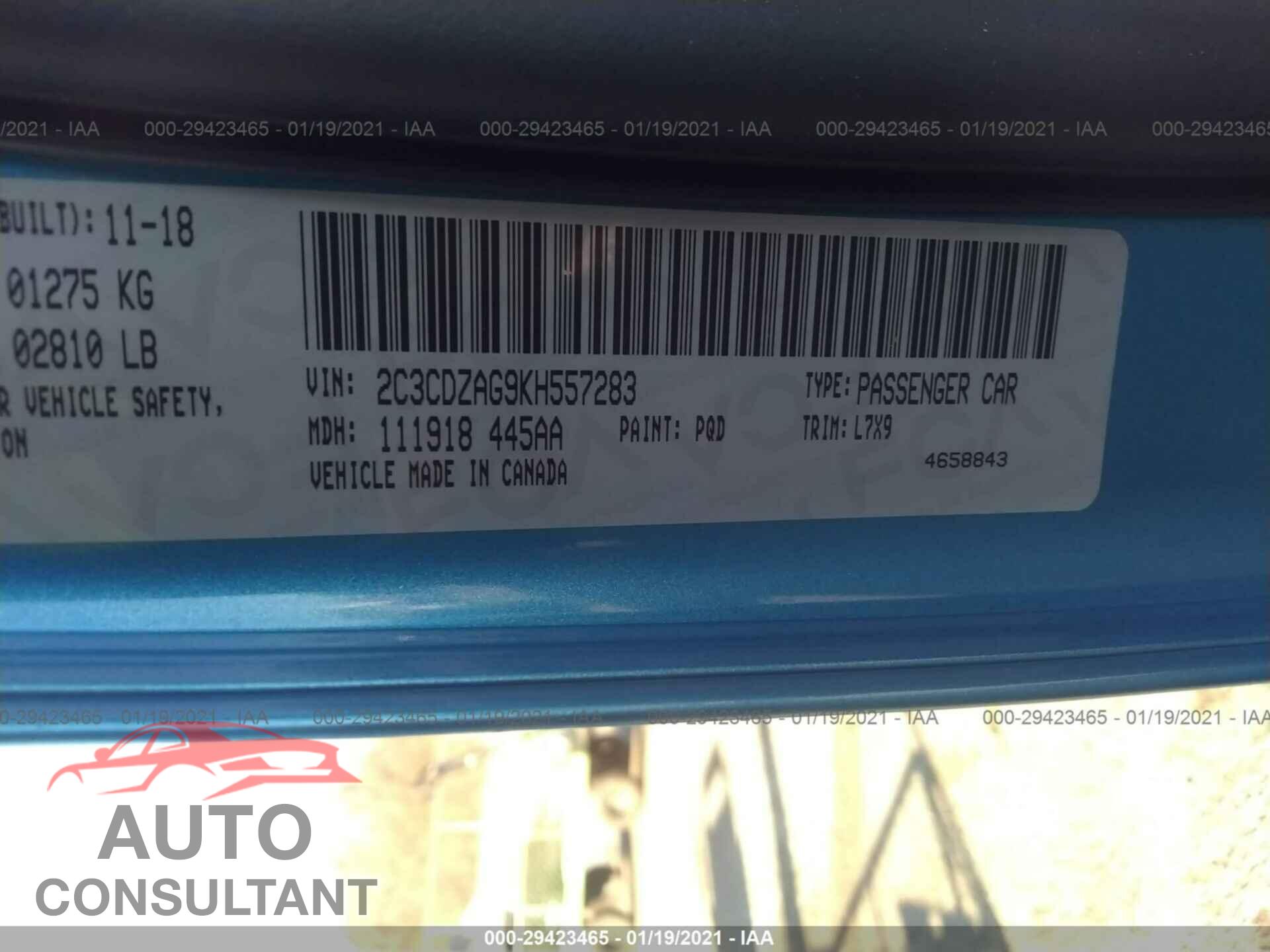 DODGE CHALLENGER 2019 - 2C3CDZAG9KH557283