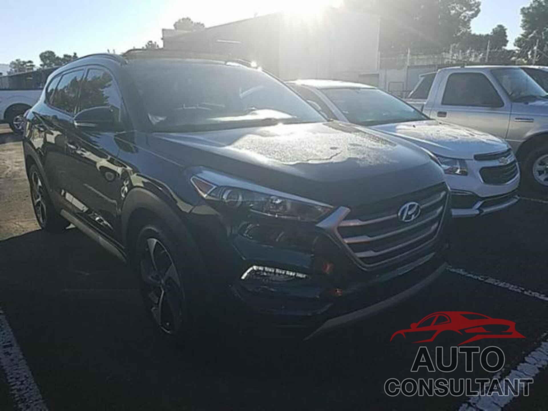 HYUNDAI TUCSON 2017 - KM8J33A24HU565896