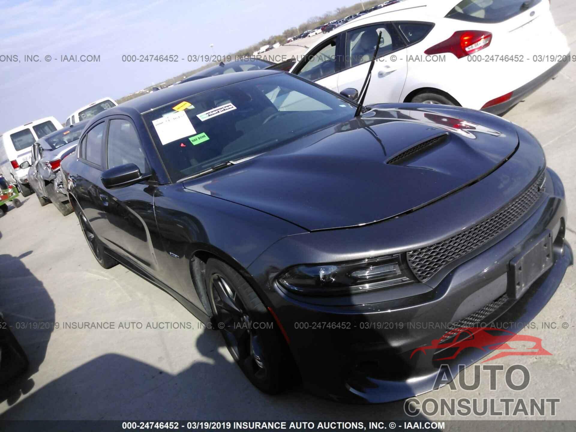 DODGE CHARGER 2019 - 2C3CDXCTXKH526672