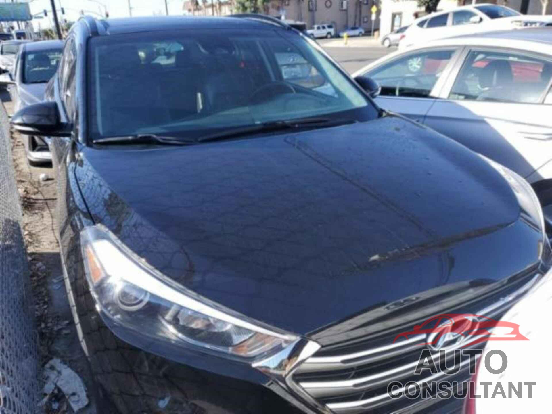 HYUNDAI TUCSON 2016 - KM8J33A27GU254171