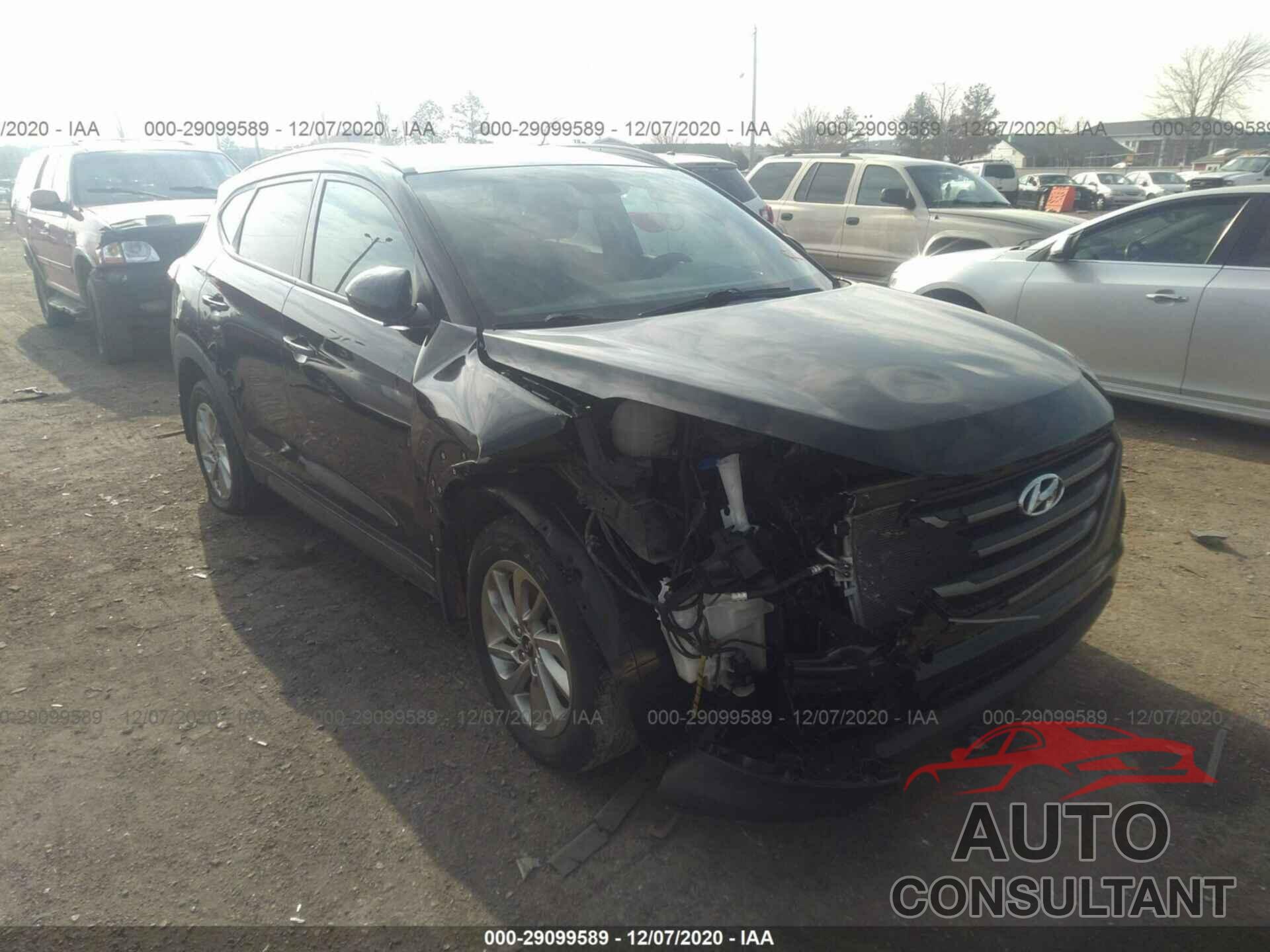 HYUNDAI TUCSON 2016 - KM8J33A40GU039443