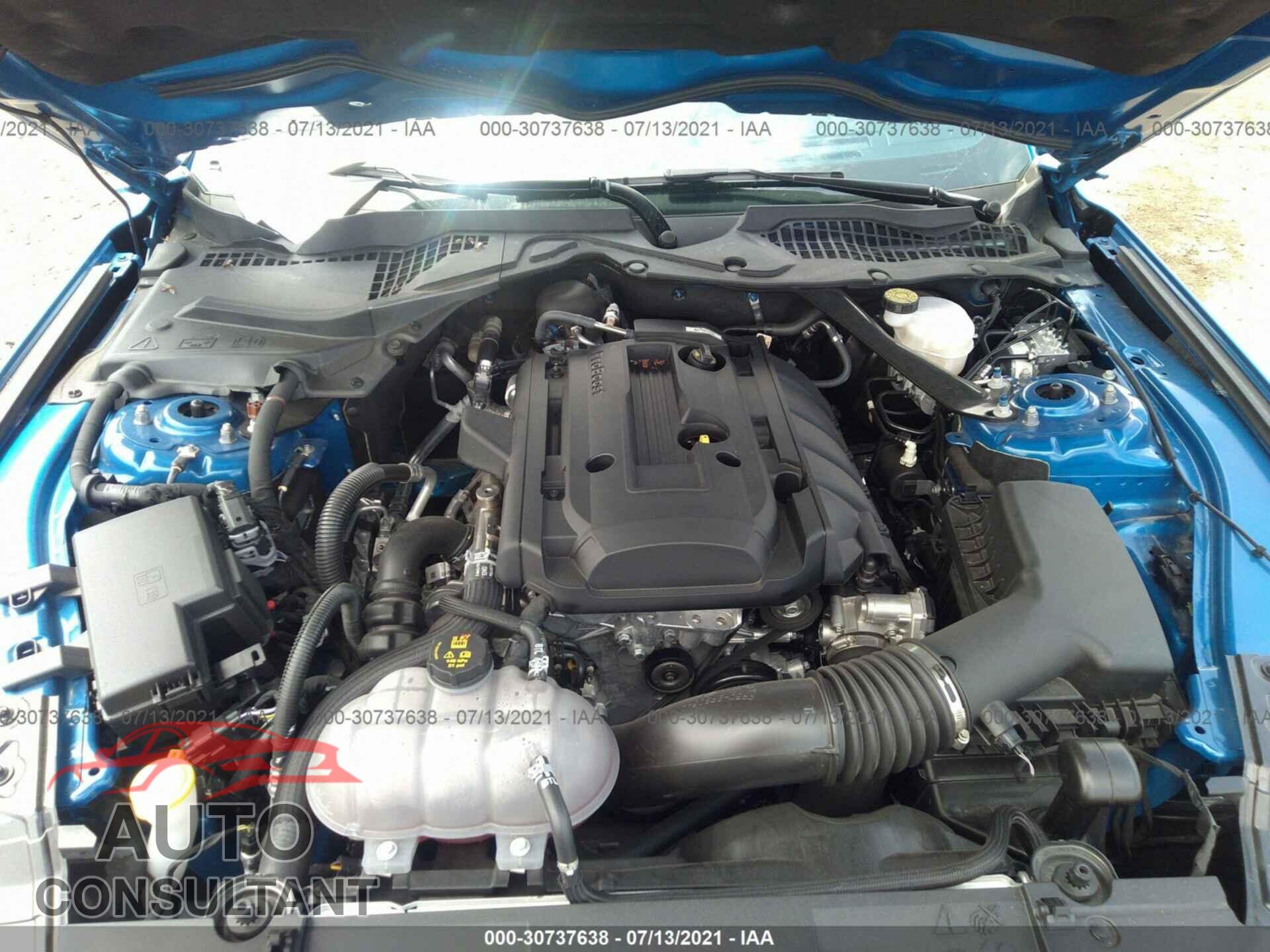 FORD MUSTANG 2019 - 1FATP8UH3K5173580