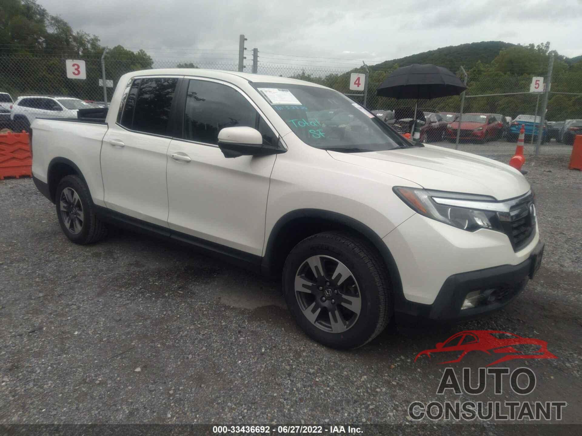 HONDA RIDGELINE 2019 - 5FPYK3F66KB013972