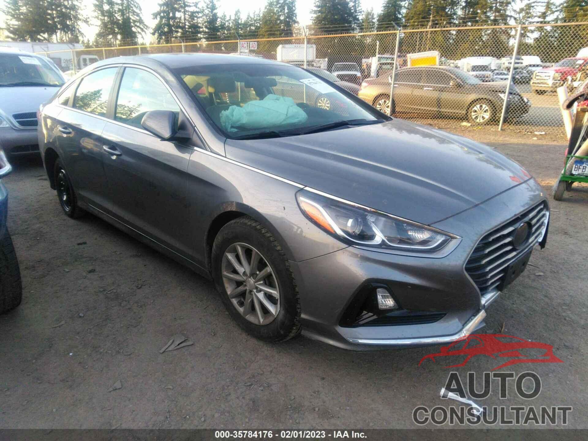 HYUNDAI SONATA 2019 - 5NPE24AF9KH745300