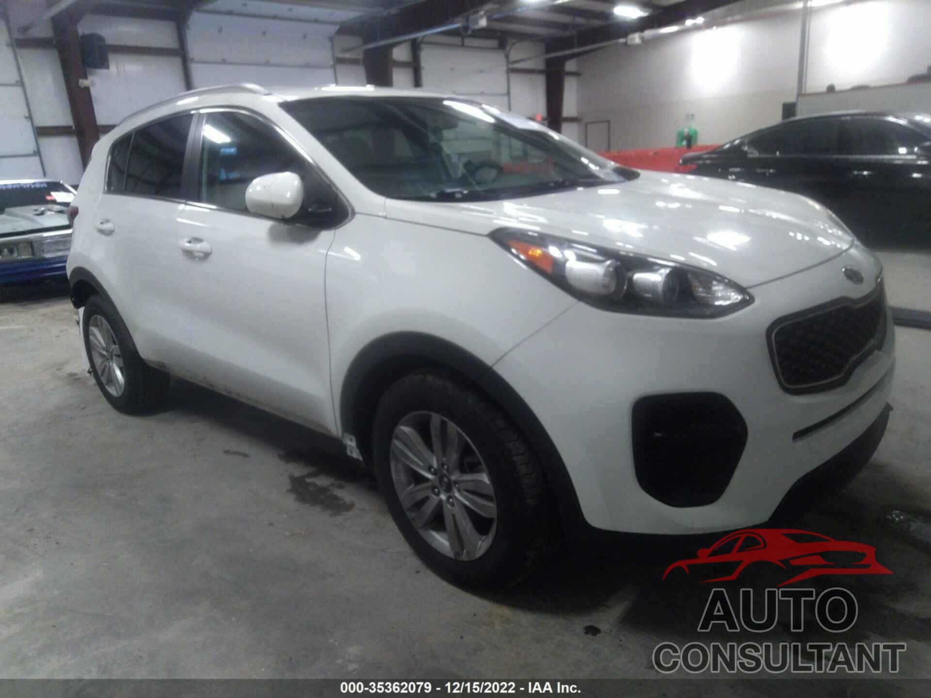 KIA SPORTAGE 2017 - KNDPM3AC0H7069545