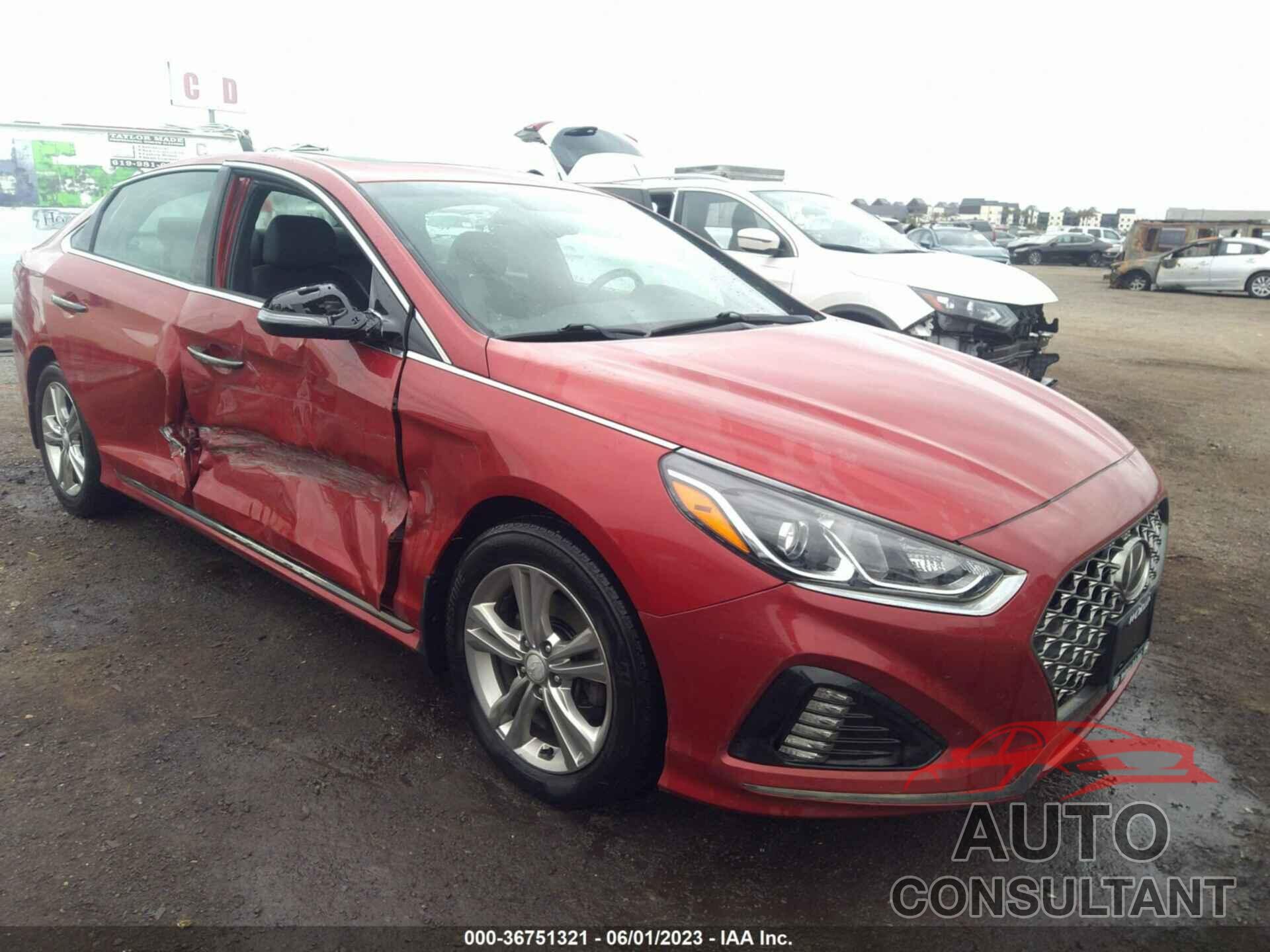 HYUNDAI SONATA 2019 - 5NPE34AF7KH754896