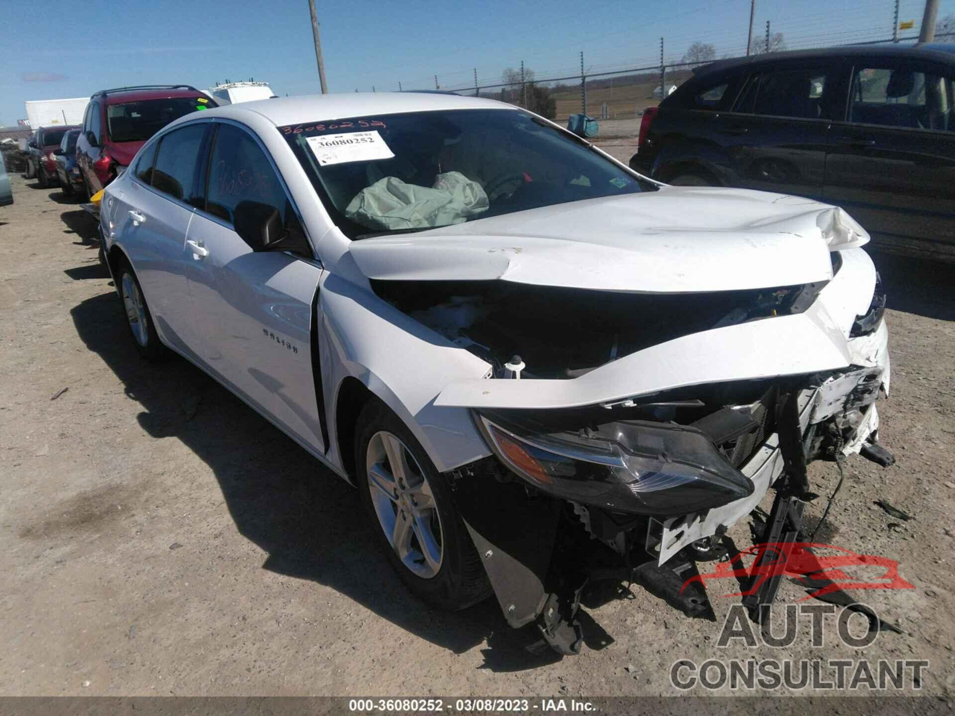CHEVROLET MALIBU 2019 - 1G1ZC5ST1KF169357
