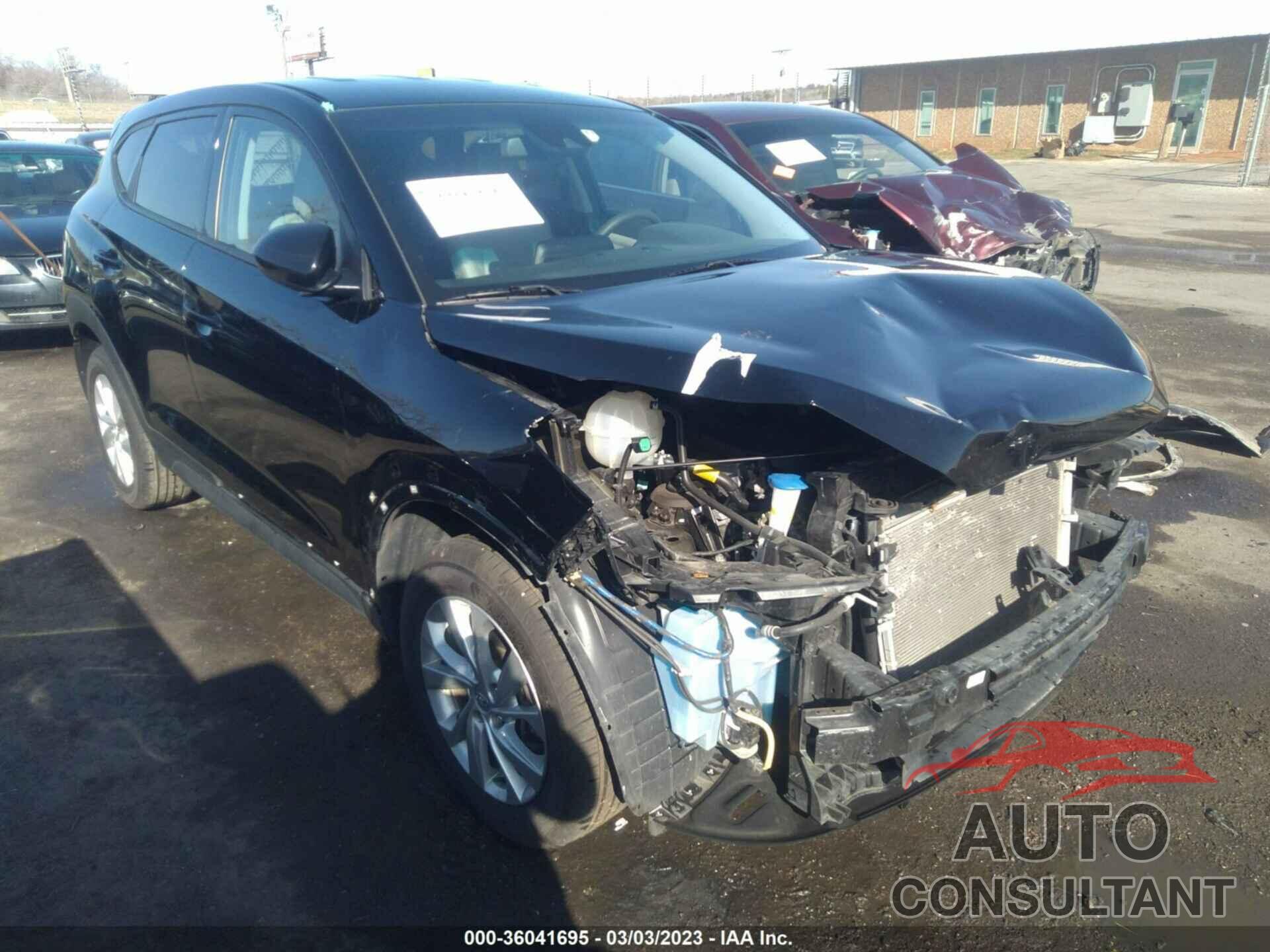HYUNDAI TUCSON 2019 - KM8J23A43KU051601