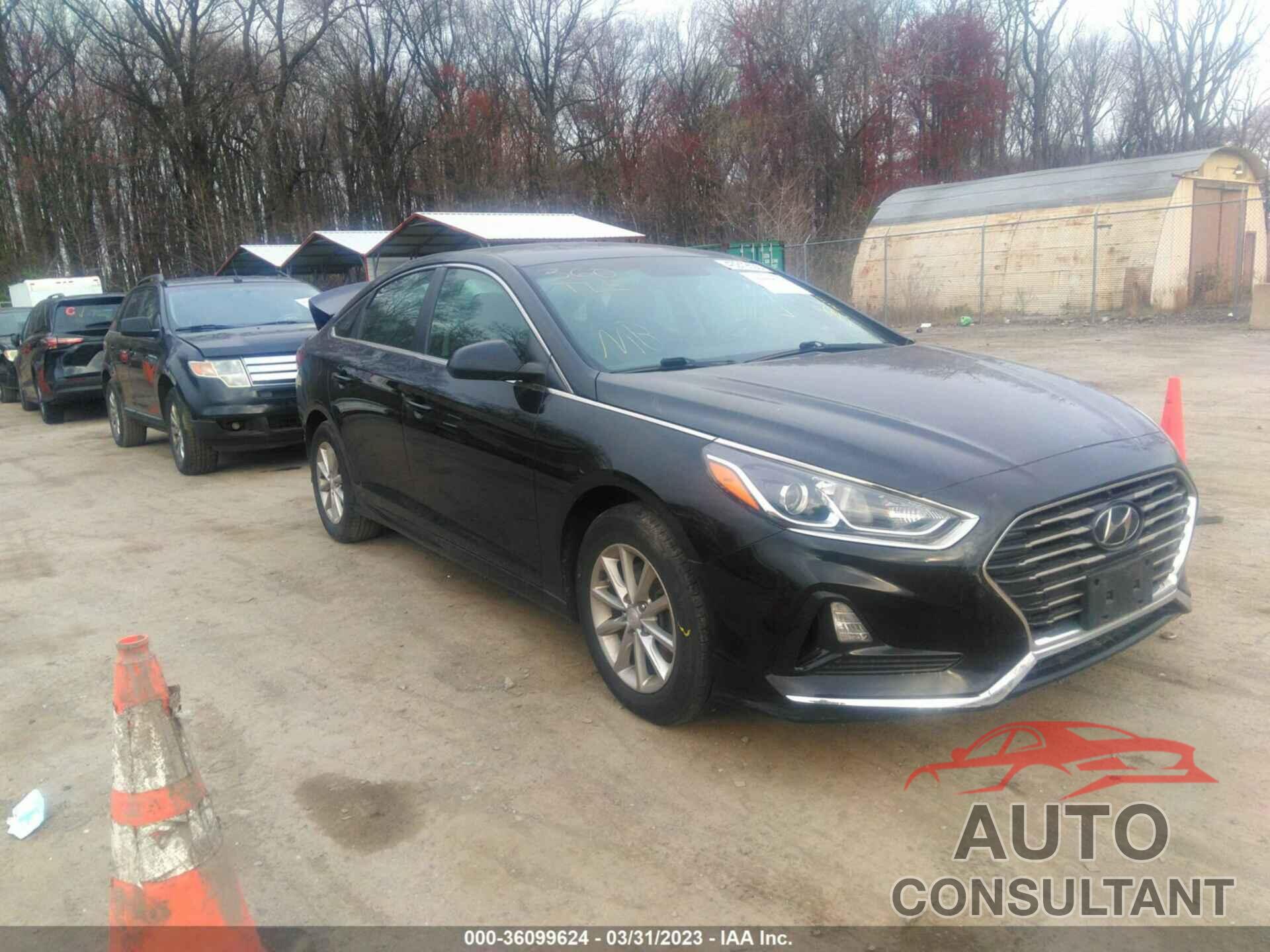 HYUNDAI SONATA 2019 - 5NPE24AF0KH756623
