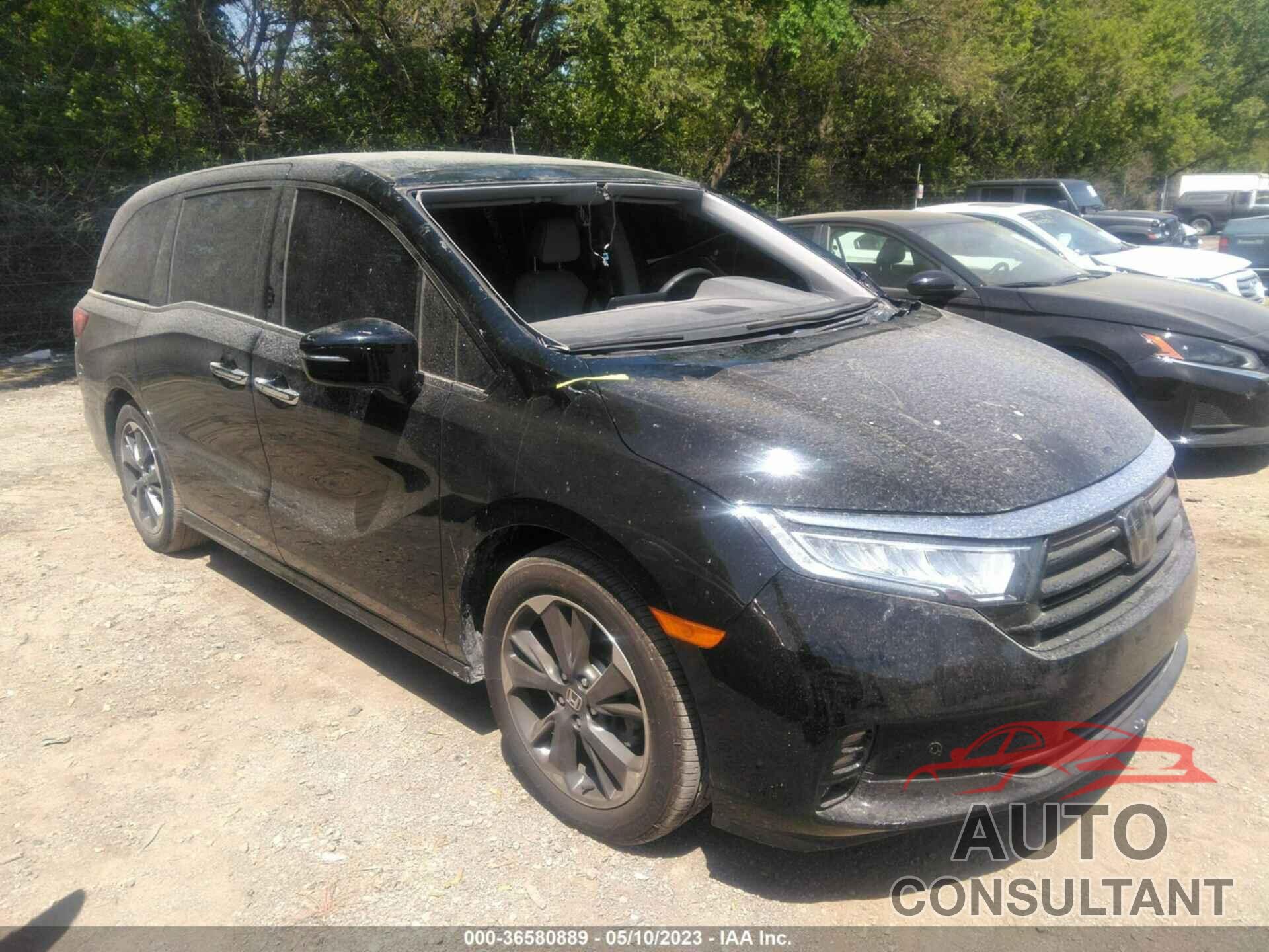 HONDA ODYSSEY 2022 - 5FNRL6H96NB051631