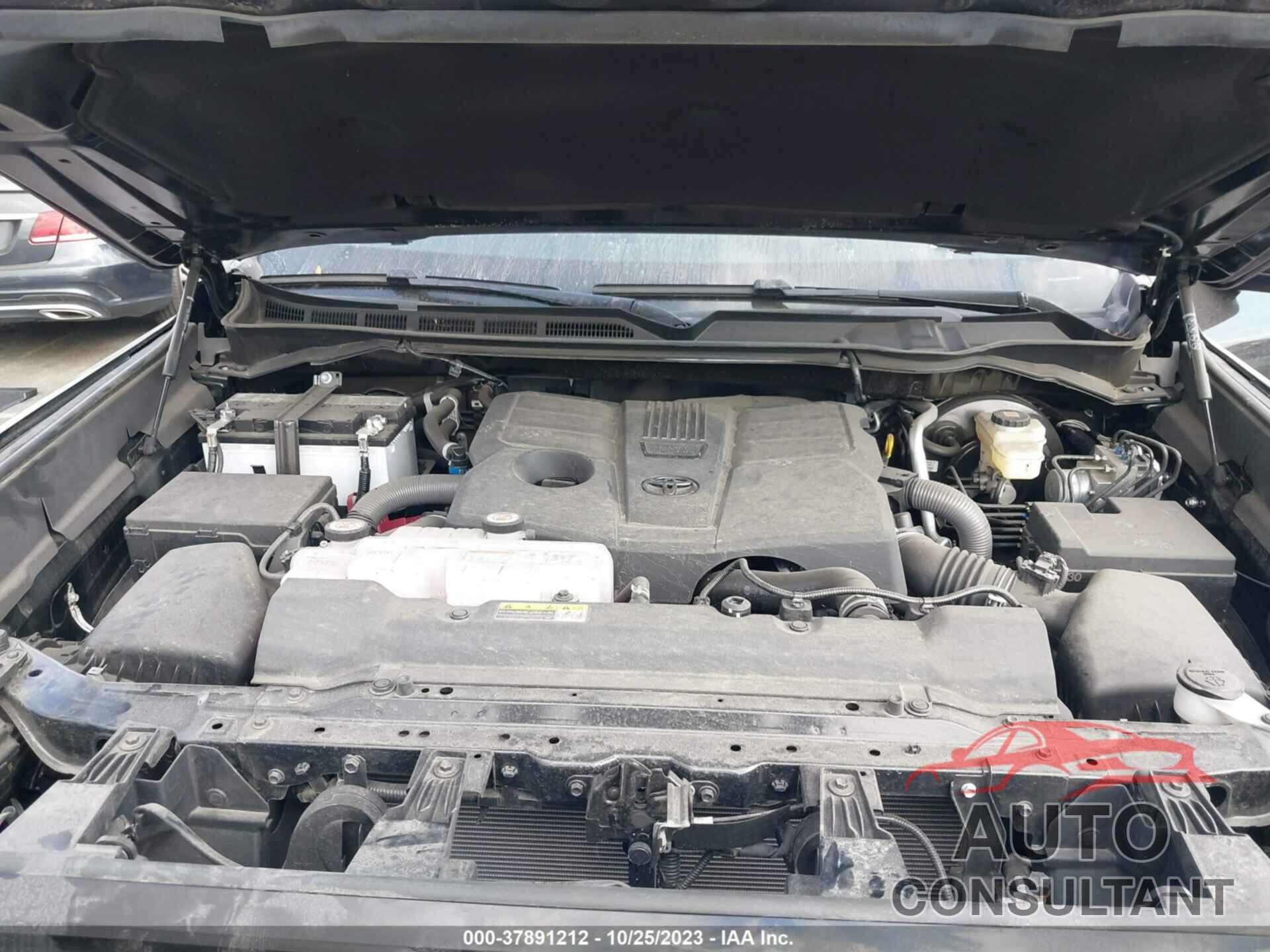 TOYOTA TUNDRA 4WD 2023 - 5TFLA5DB0PX062227