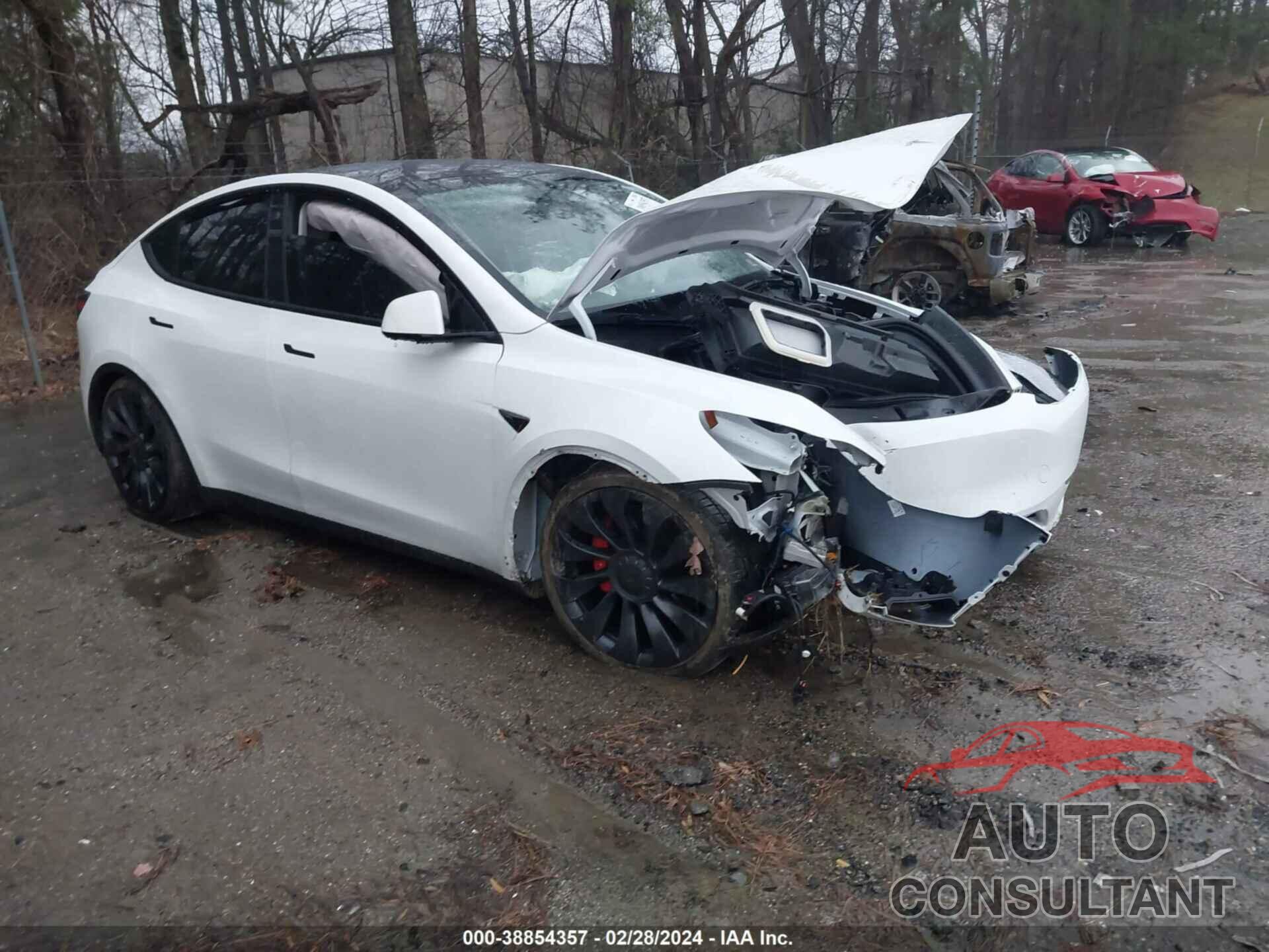 TESLA MODEL Y 2022 - 7SAYGDEF4NF501097