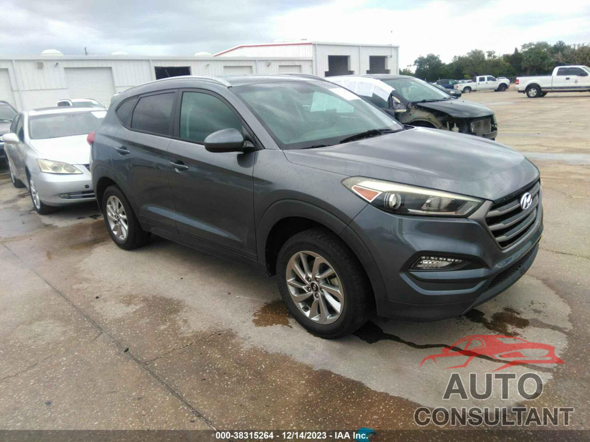 HYUNDAI TUCSON 2016 - KM8J33A47GU126949