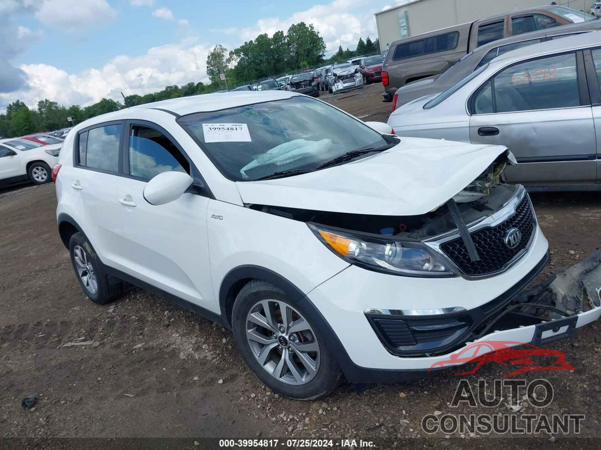 KIA SPORTAGE 2016 - KNDPBCAC4G7881161