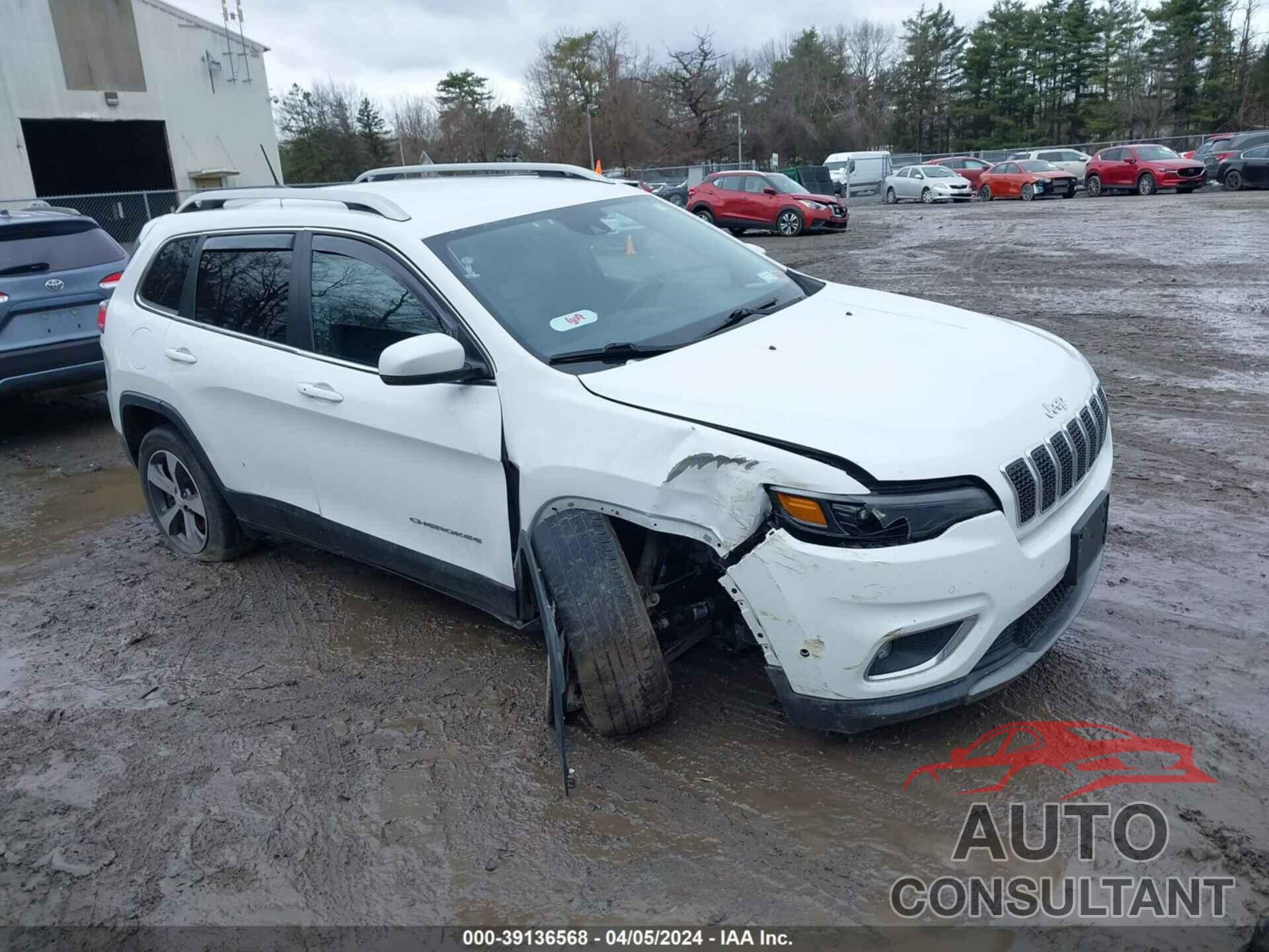 JEEP CHEROKEE 2019 - 1C4PJMDN4KD180460