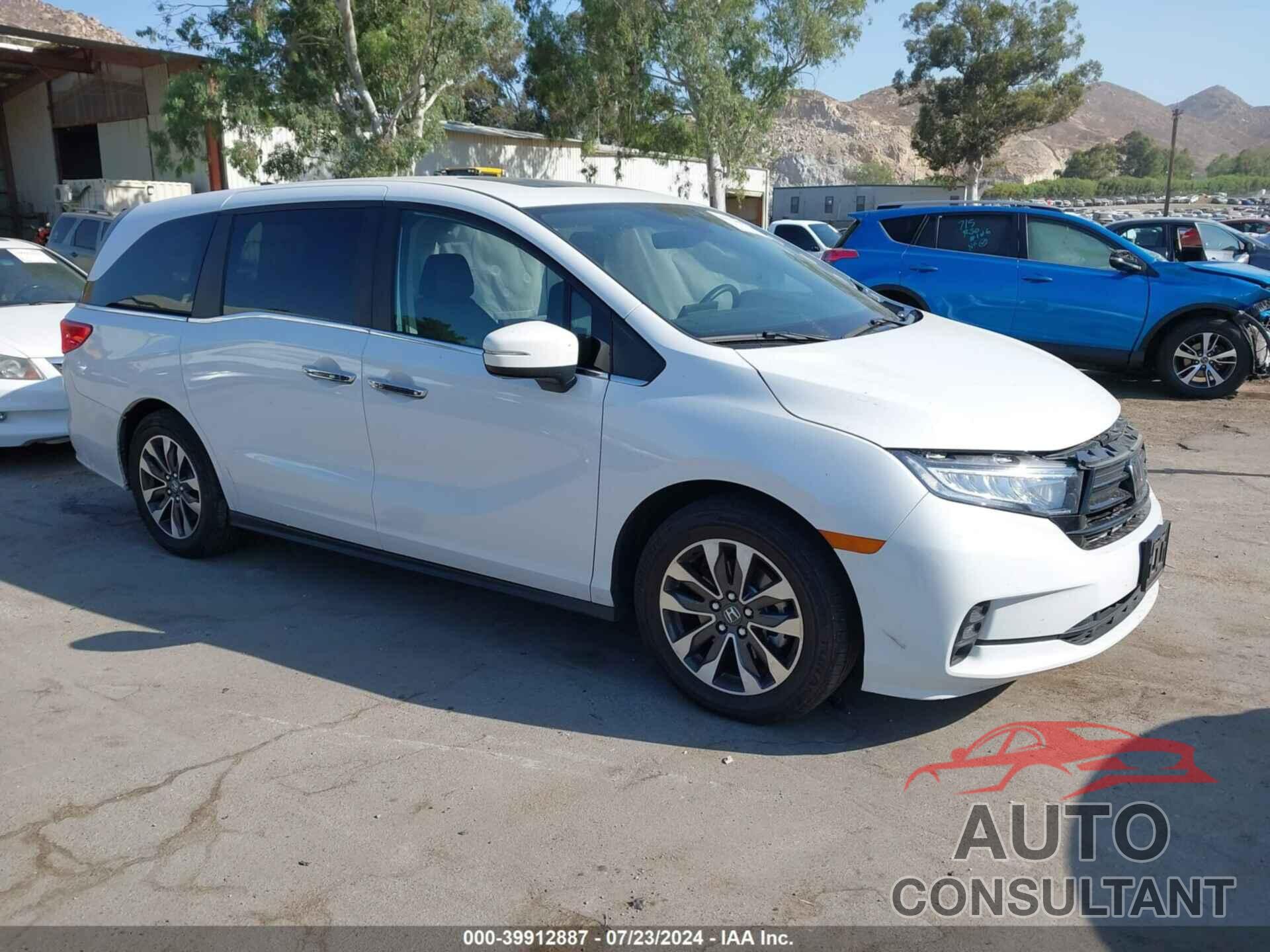 HONDA ODYSSEY 2024 - 5FNRL6H61RB003014